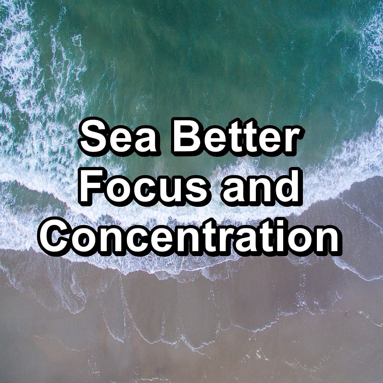 Постер альбома Sea Better Focus and Concentration