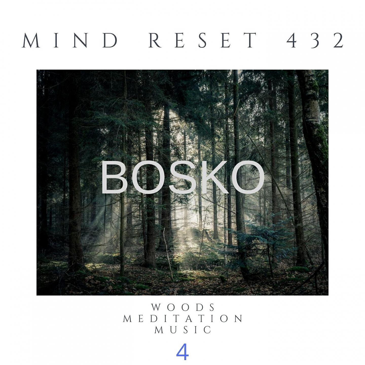 Mind Reset 432 - BOSKO Woods meditation music (4)
