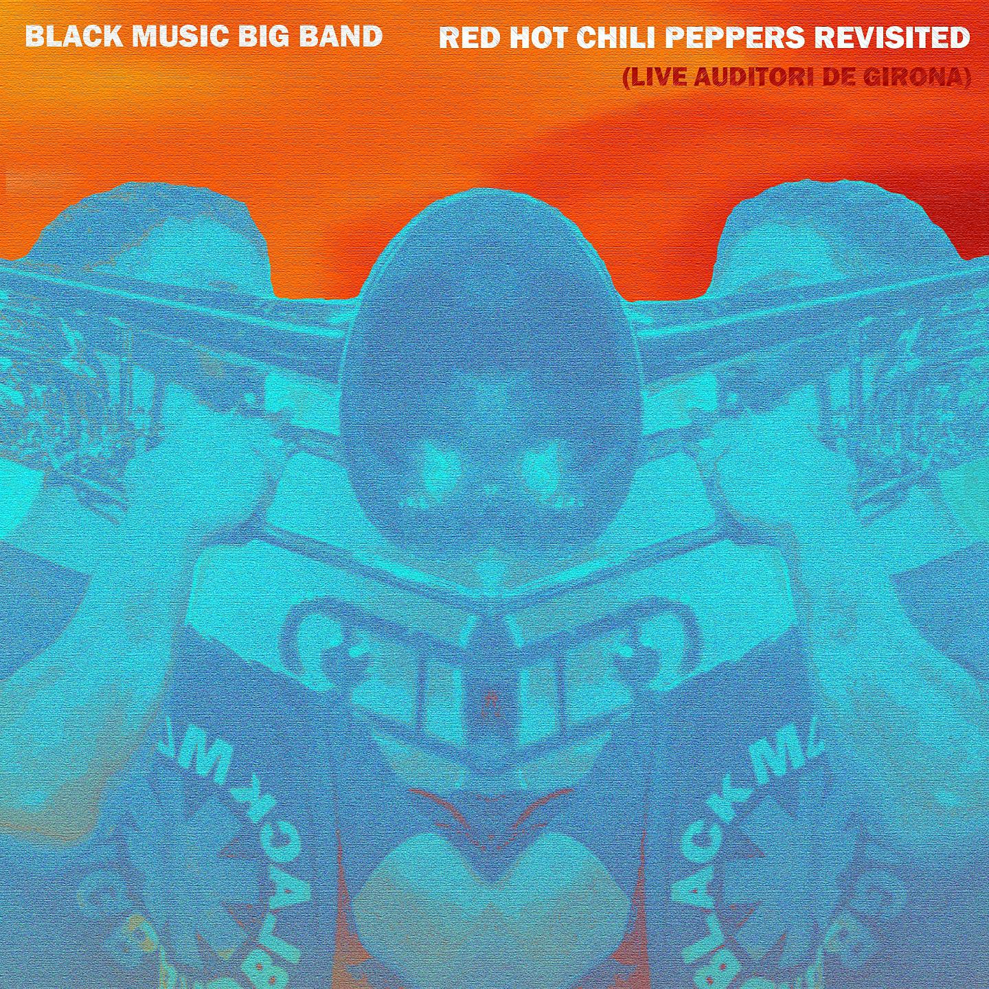 Постер альбома Red Hot Chili Peppers Revisited