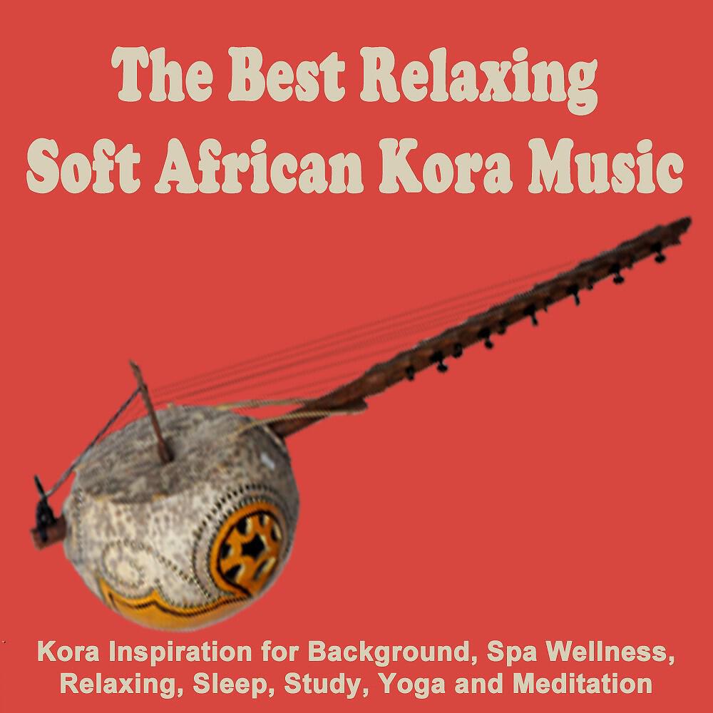 Traditional 21-Kora Strings - Yarabi