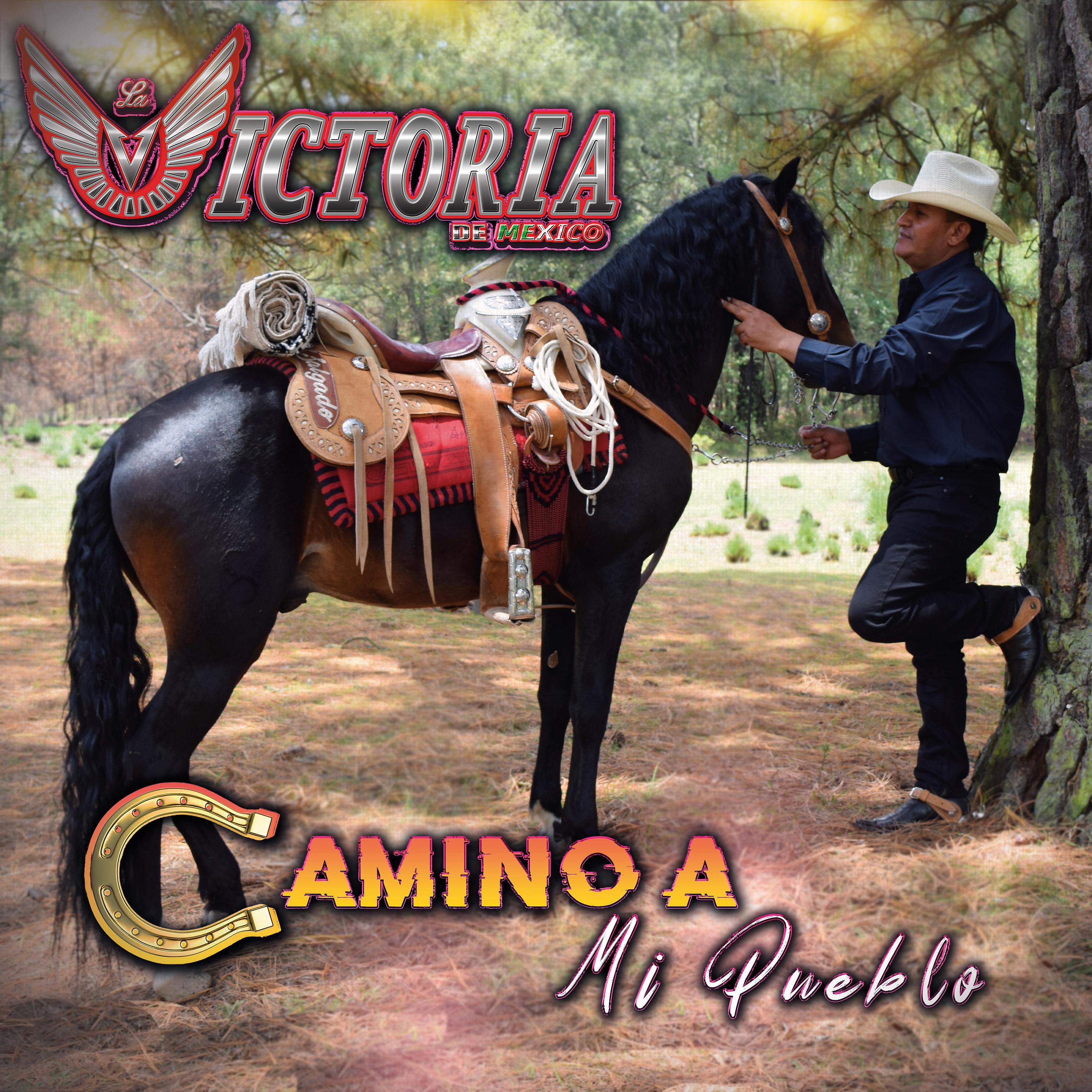 Постер альбома Camino a Mi Pueblo