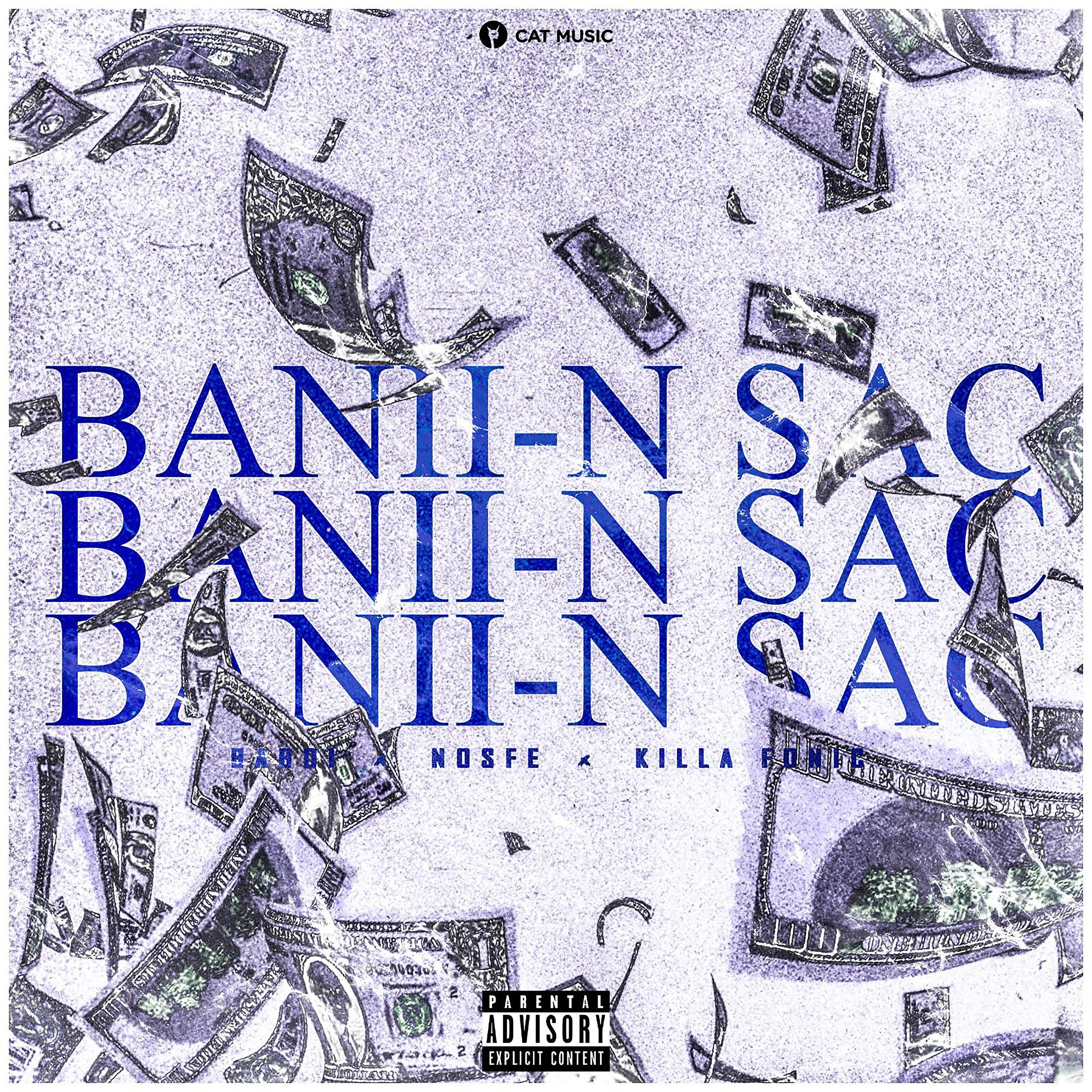 Постер альбома Banii-n sac