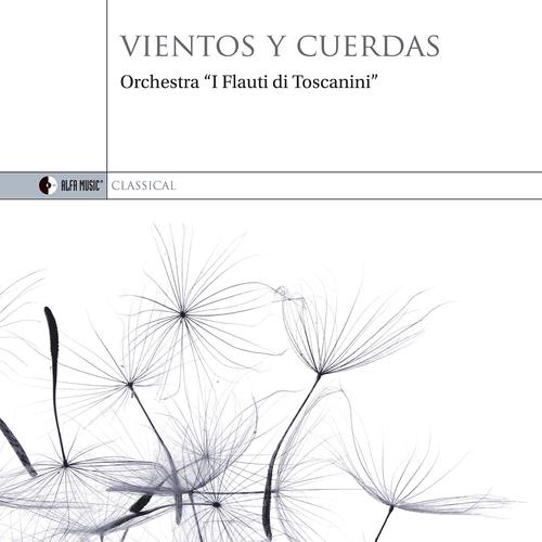 Постер альбома Vientos y Cuerdas