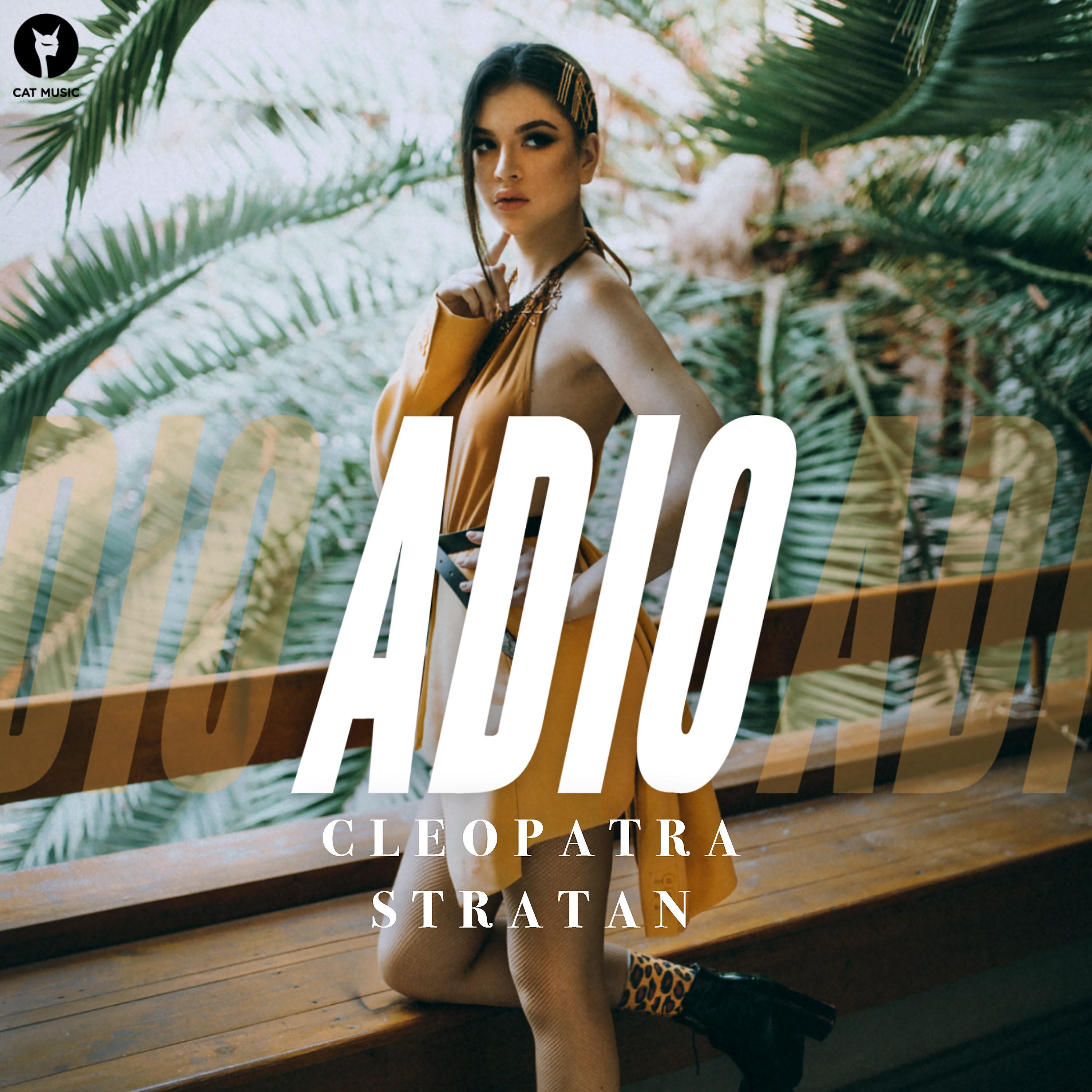 Постер альбома Adio