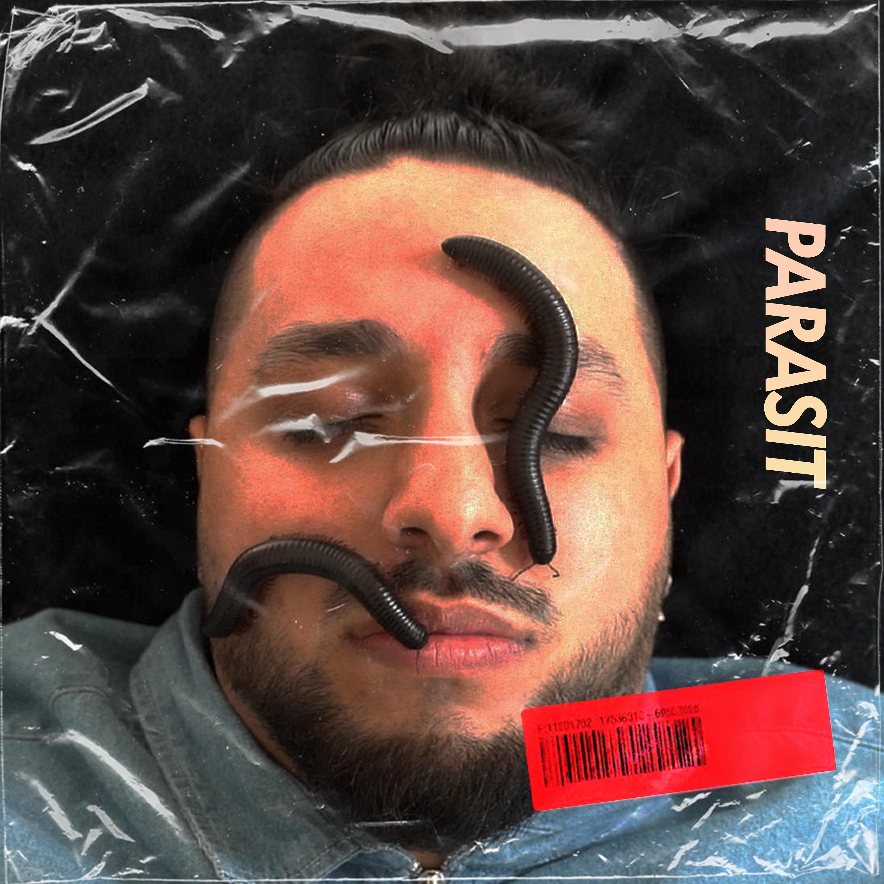 Постер альбома Parasit