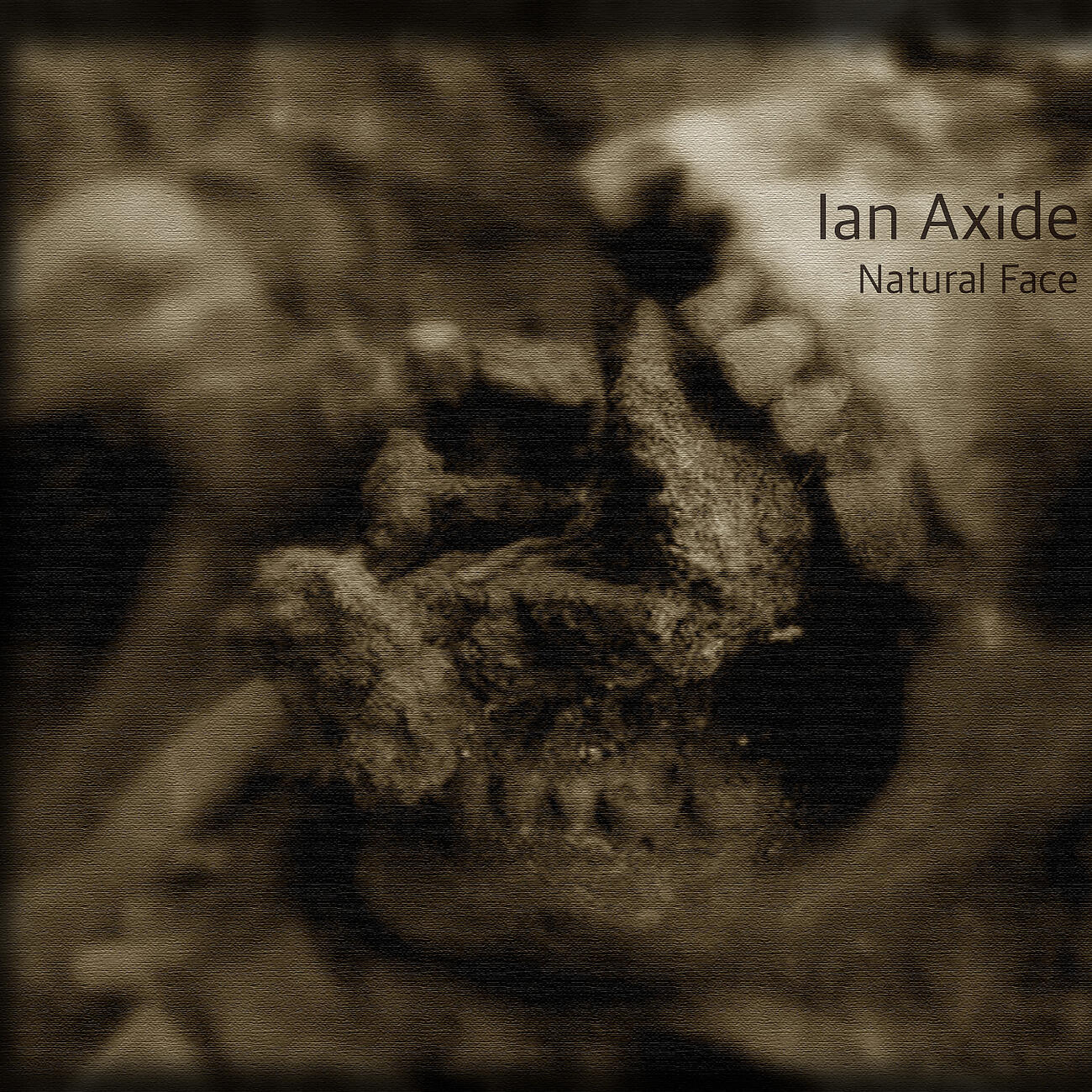 Ian Axide - Induction (Original)
