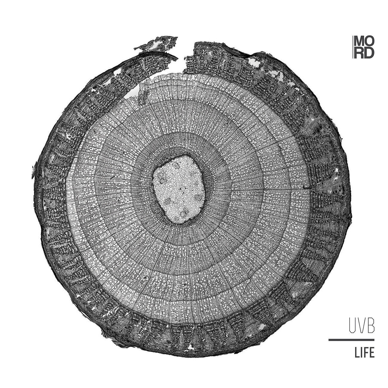 UVB - Now On