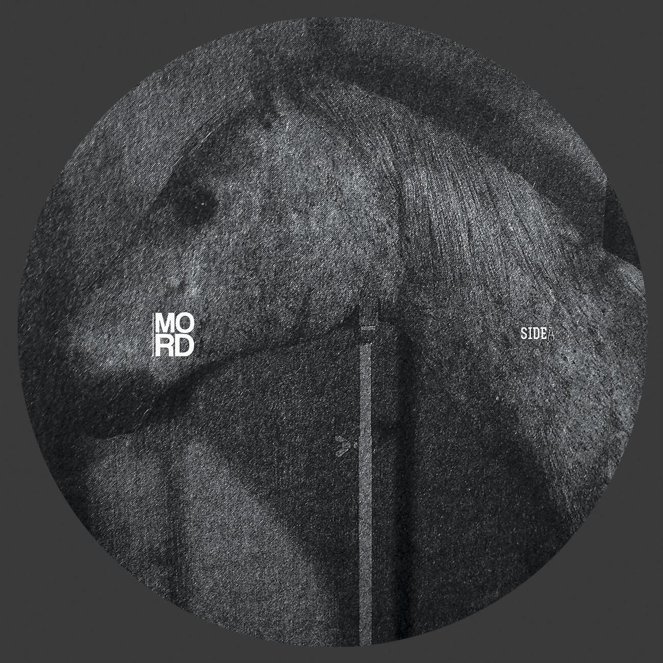 Echologist - Penetration