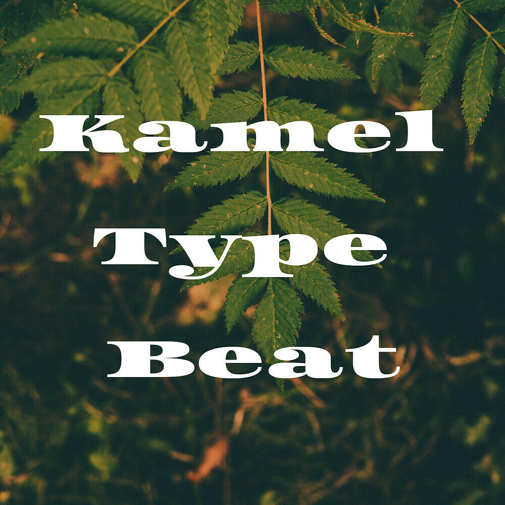 Kam El Sound - Kamel Type Beat