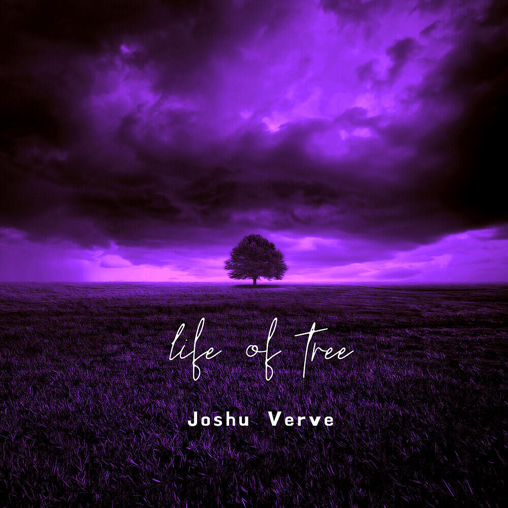 Joshu Verve - License Terms