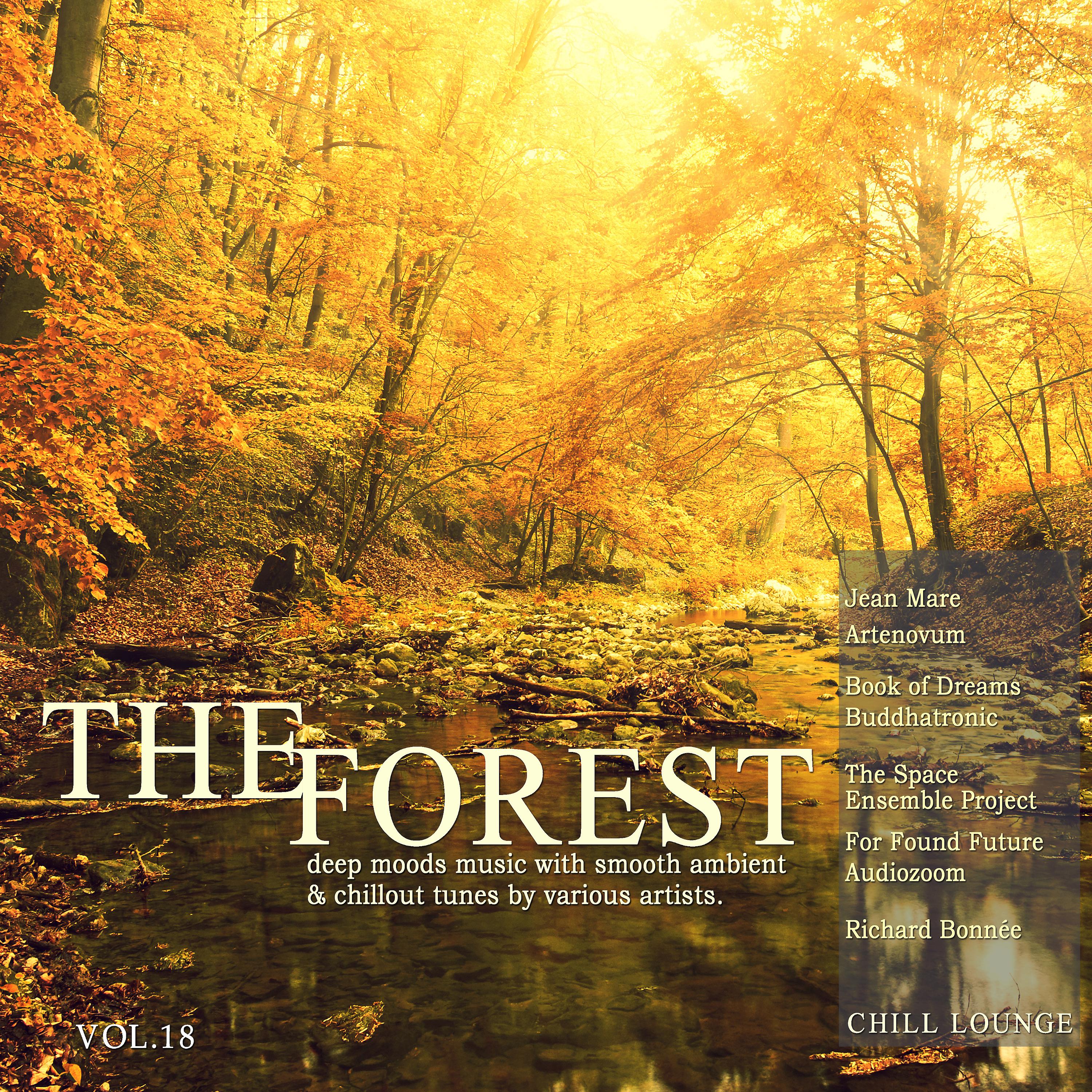 Постер альбома The Forest Chill Lounge, Vol. 18