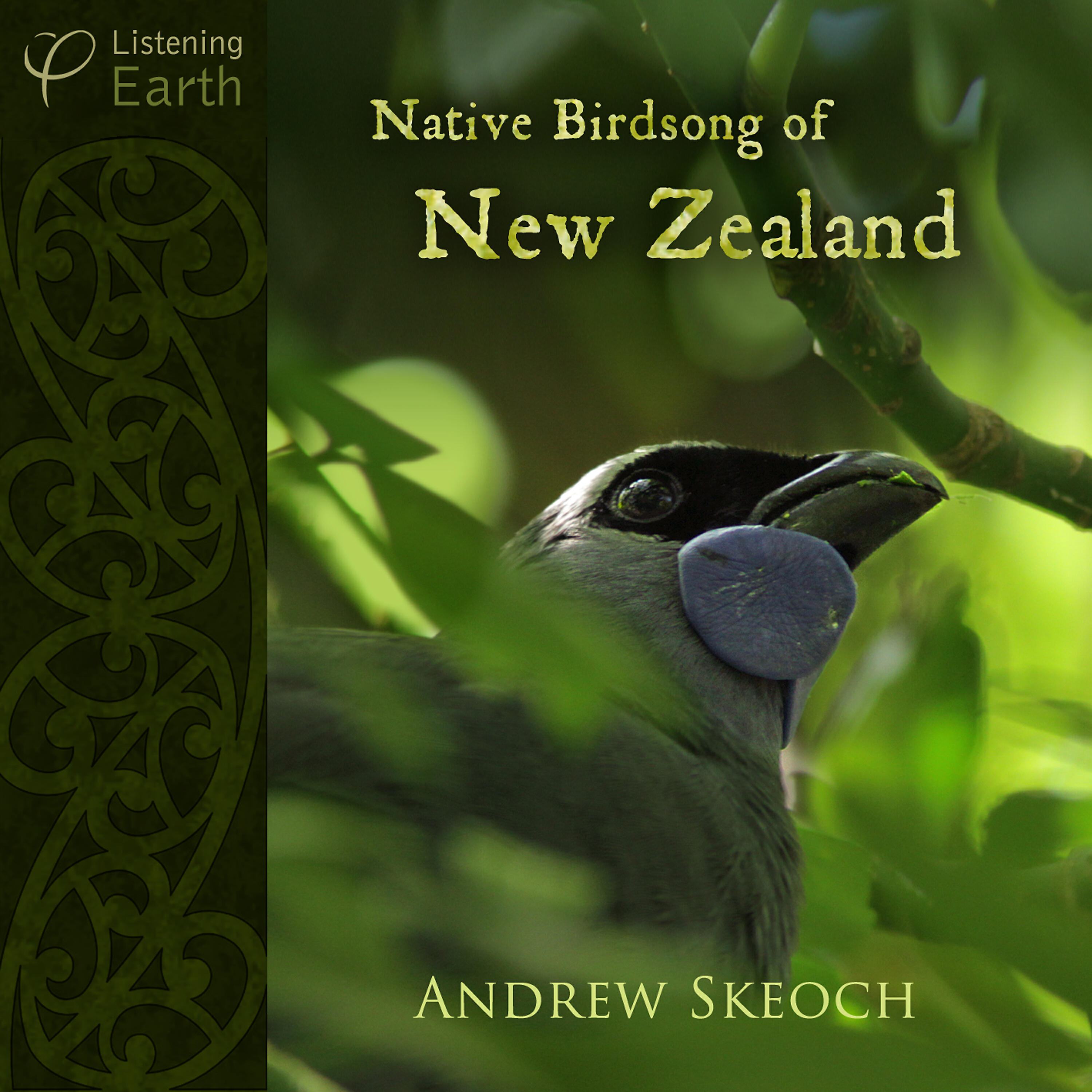 Andrew Skeoch - Taohou (Silvereye)