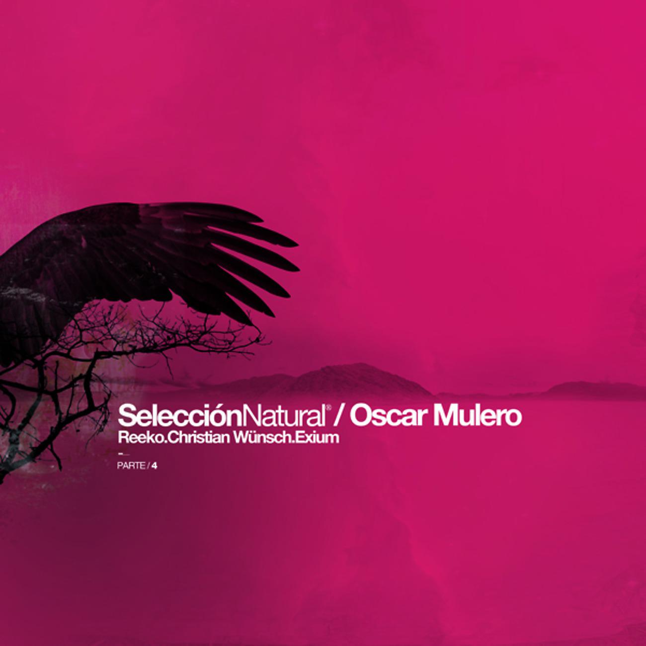 Постер альбома Seleccion Natural Parte 4