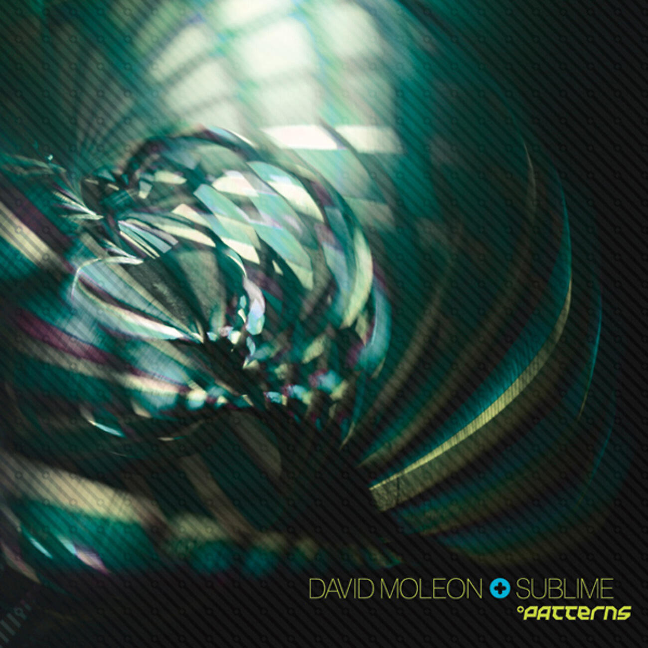 David Moleon - Sugar