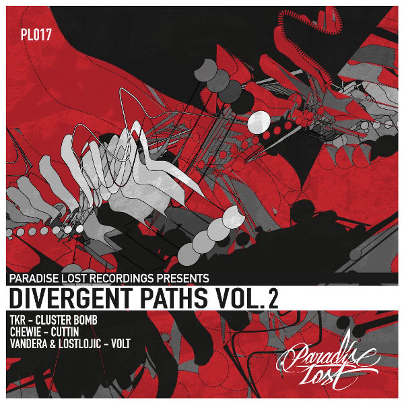 Постер альбома Divergent Paths Vol.2
