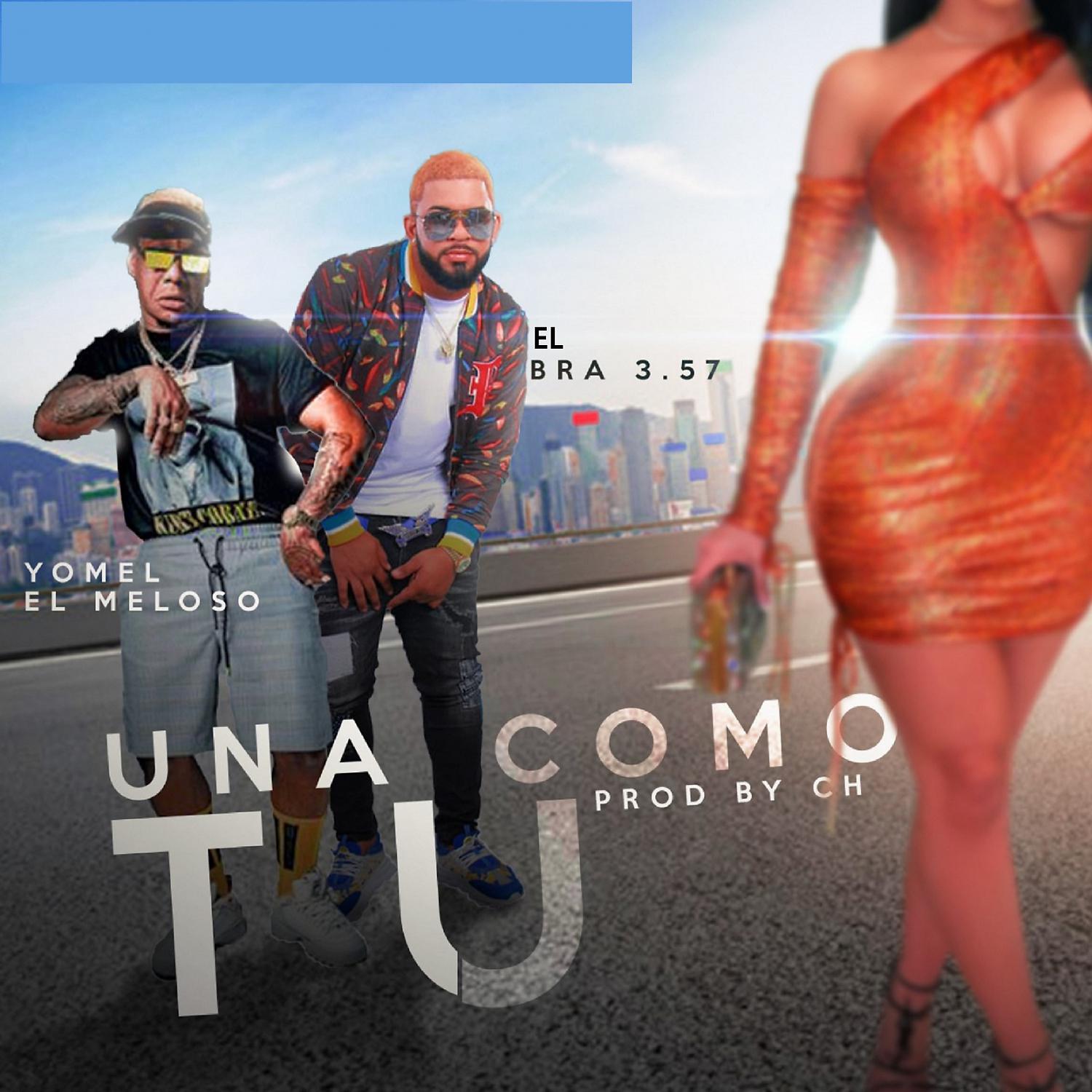 Постер альбома Una Como Tu
