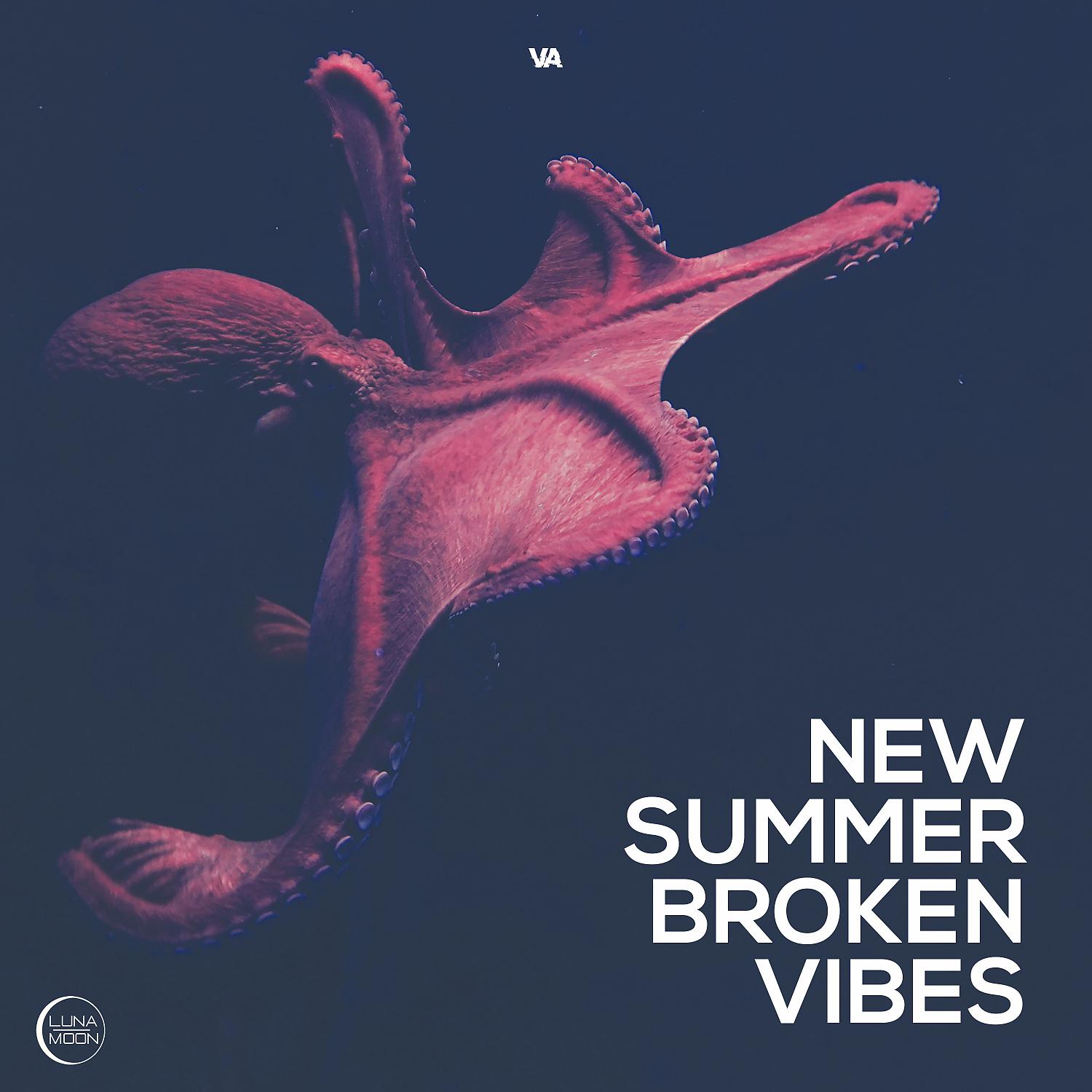 Постер альбома New Summer Broken Vibes