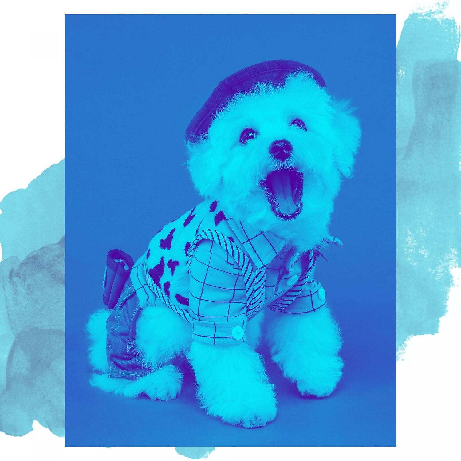 Relaxing Dog Music Groove - Brilliant Music for Energetic Dogs