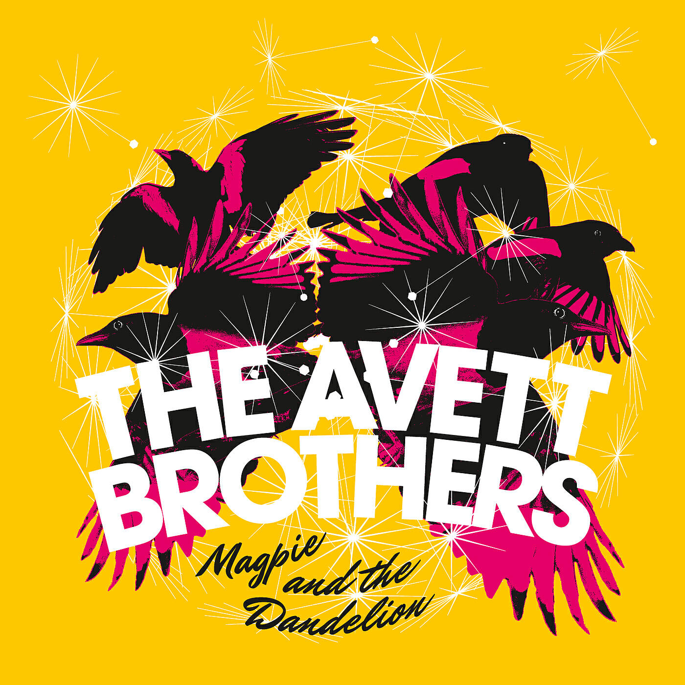 The Avett Brothers - Vanity