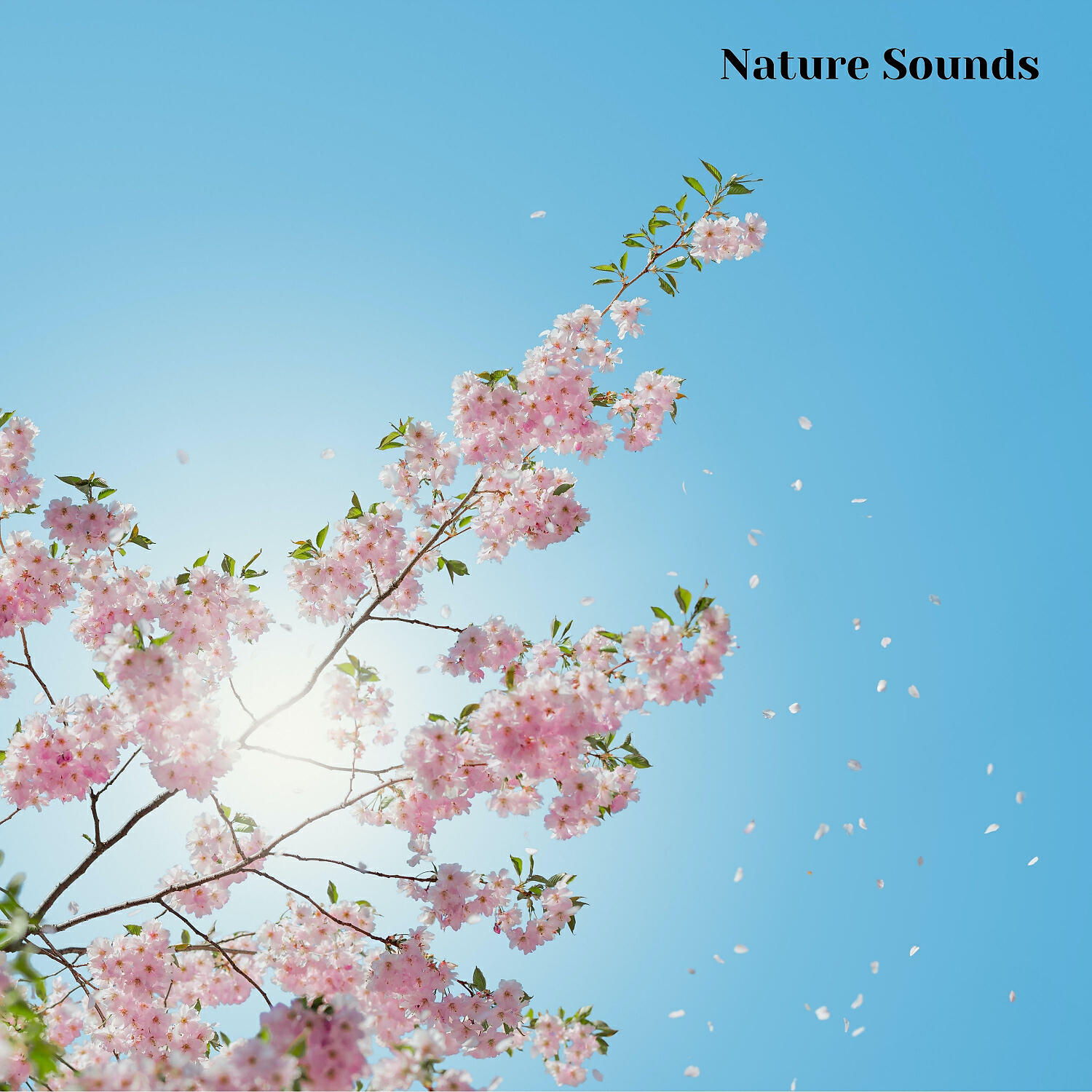 Nature Recordings - Nature Sounds for Deep Sleep, Nature Sounds, Pt. 7