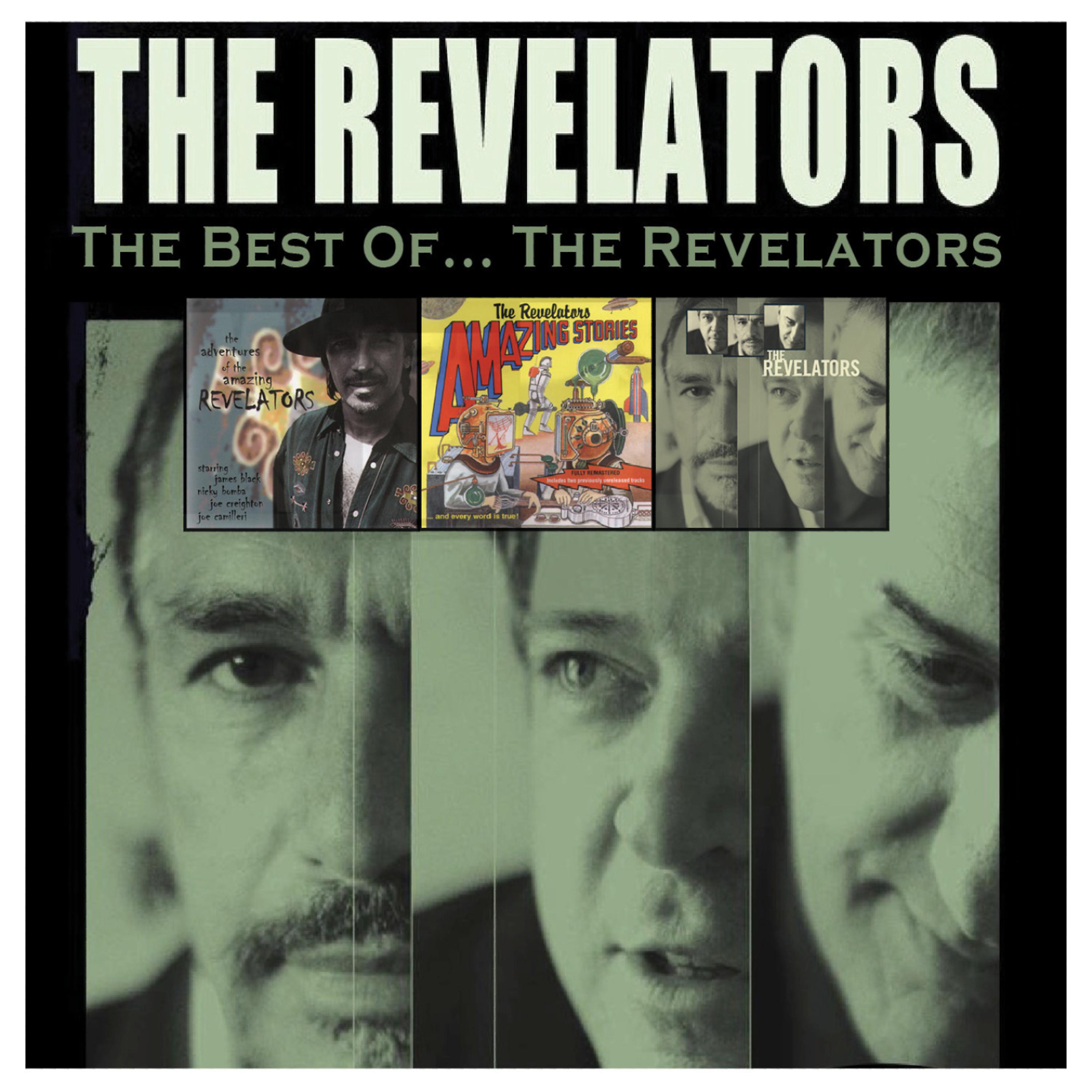 Постер альбома The Best of... The Revelators