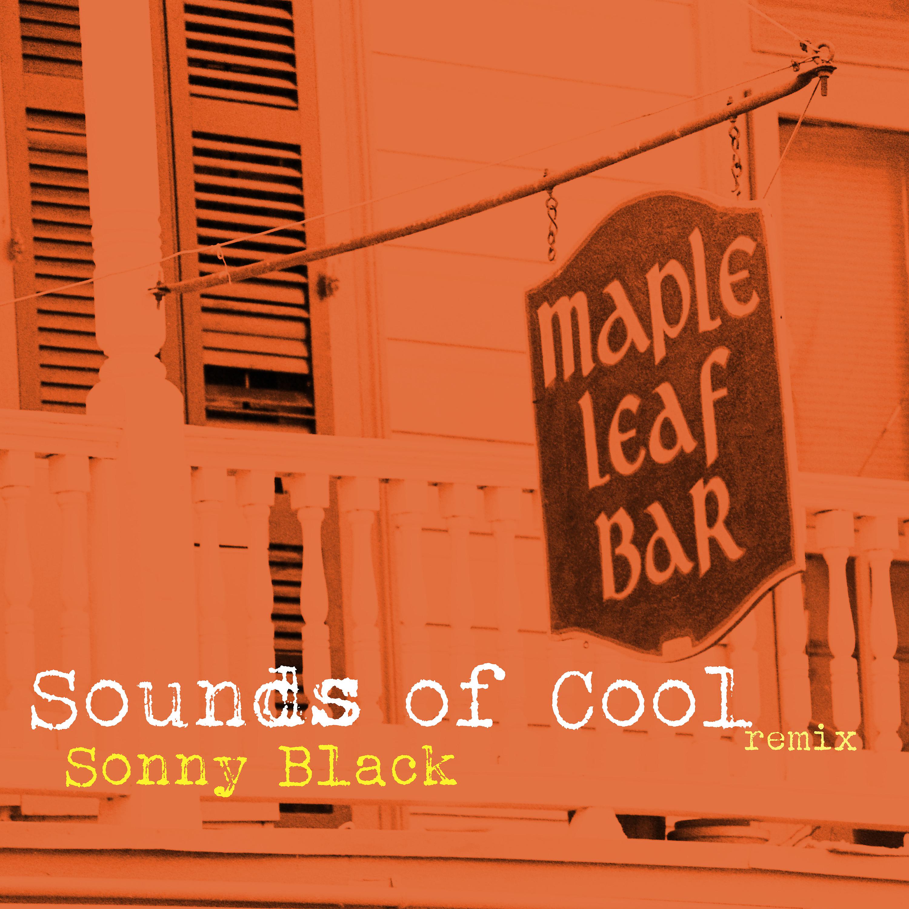 Постер альбома Sounds of Cool Remix