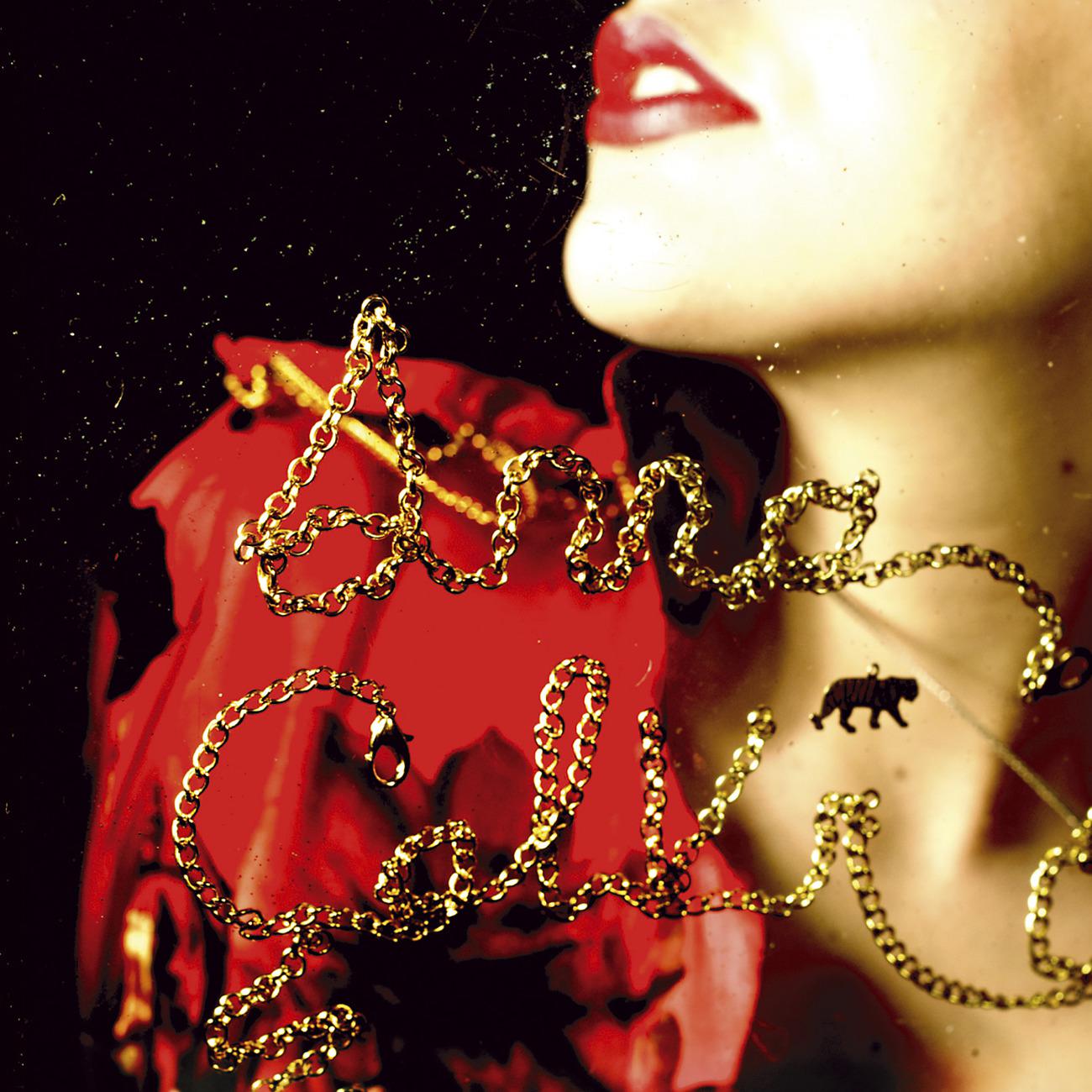 Постер альбома Anna Calvi