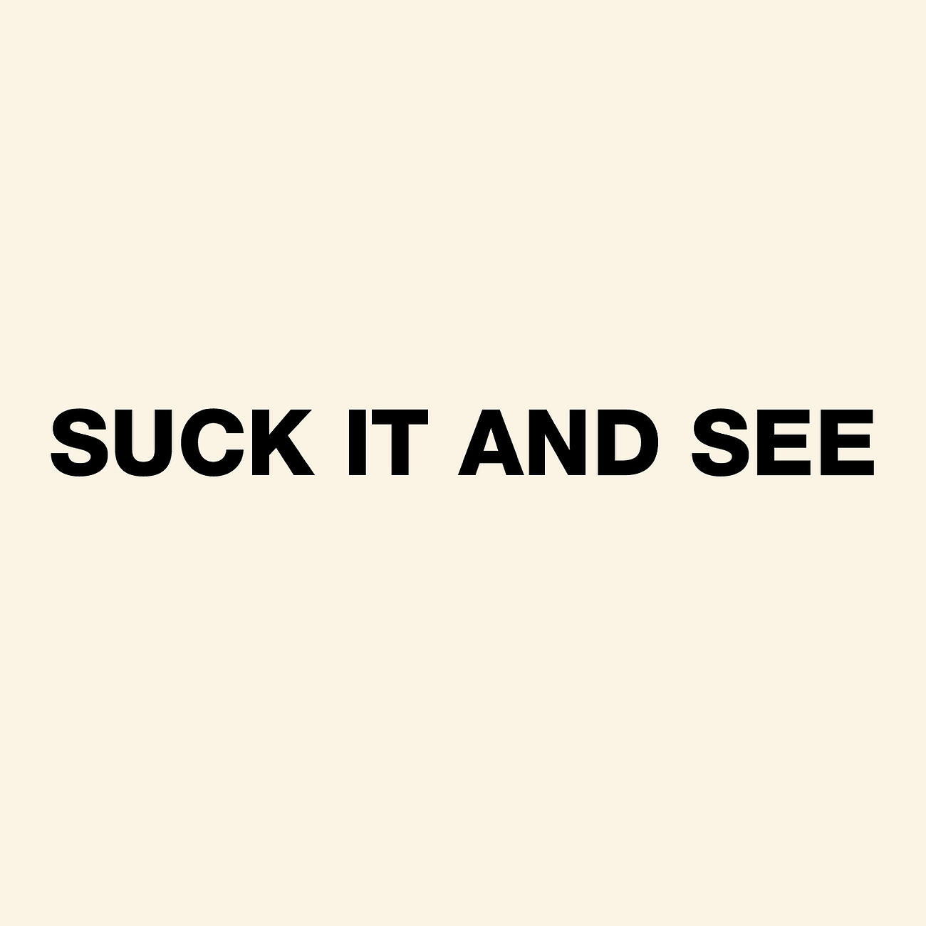 ARCTIC MONKEYS - She's Thunderstorms