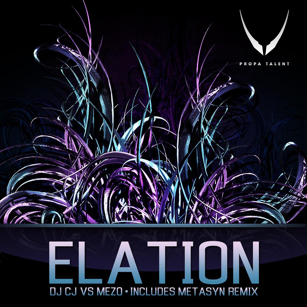 DJ CJ - Elation