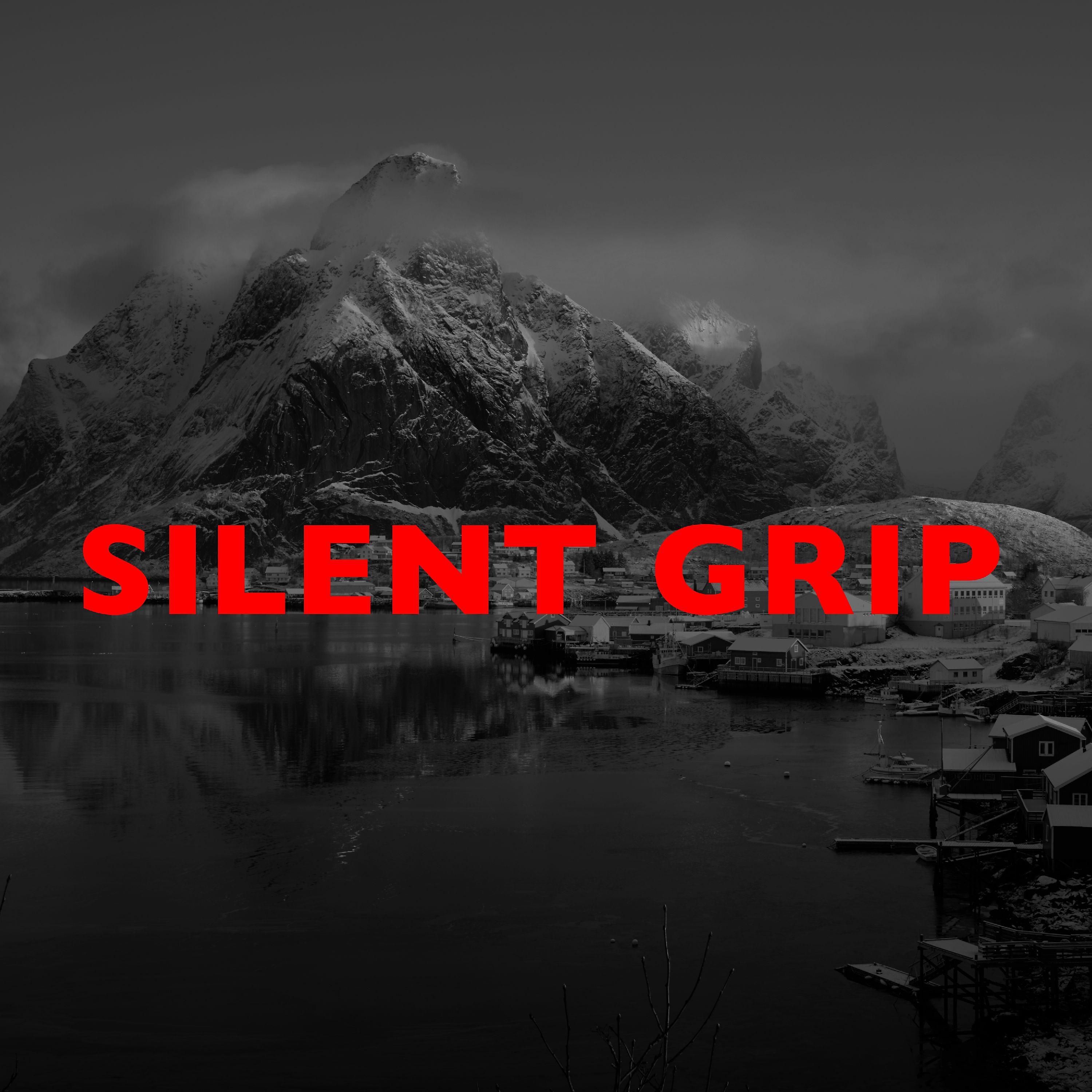 Постер альбома Silent Grip