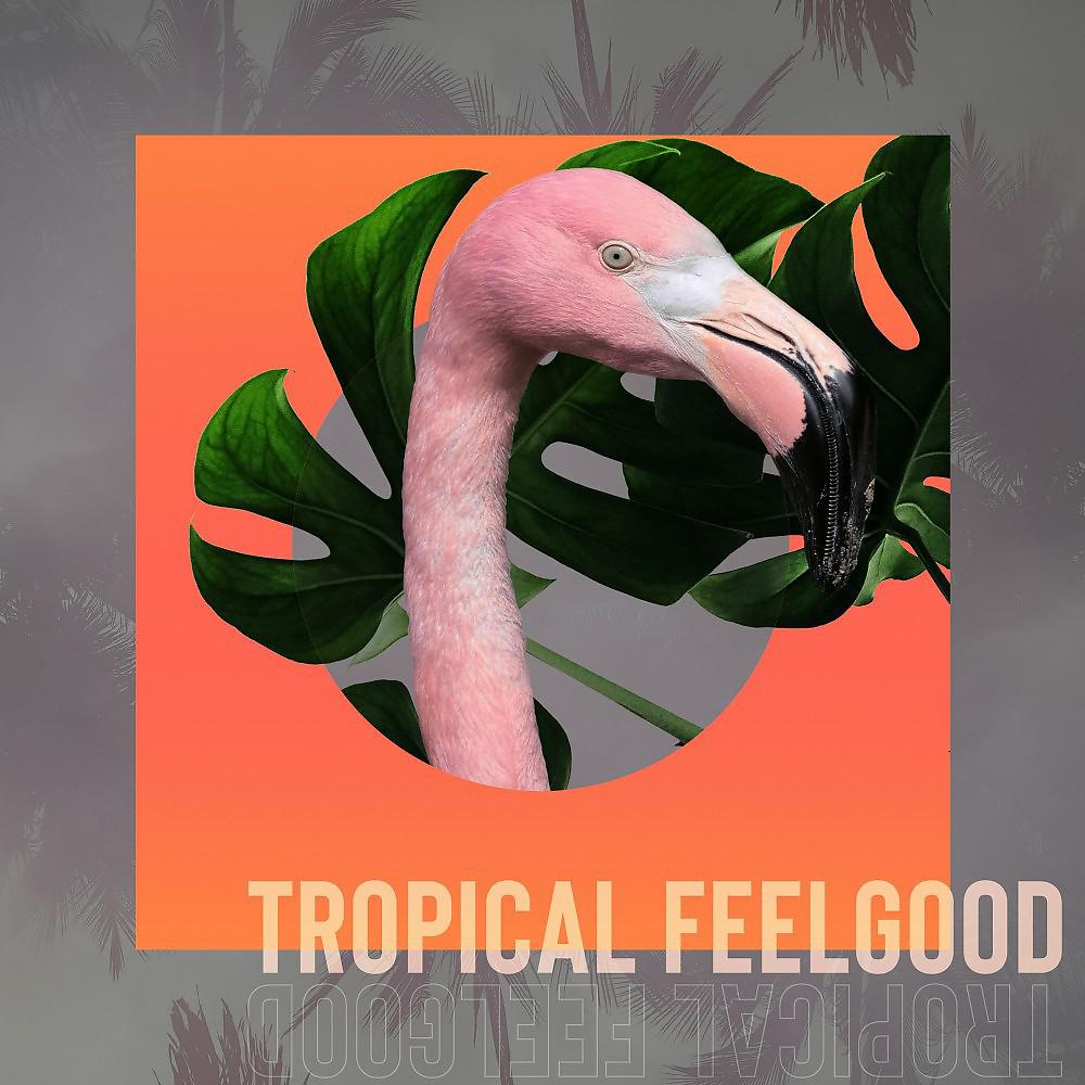 Постер альбома Tropical Feelgood