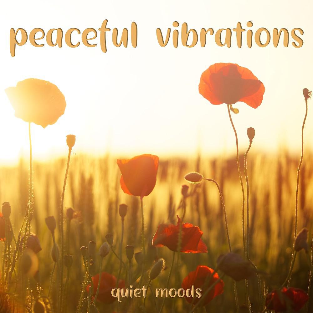 Постер альбома Peaceful Vibrations
