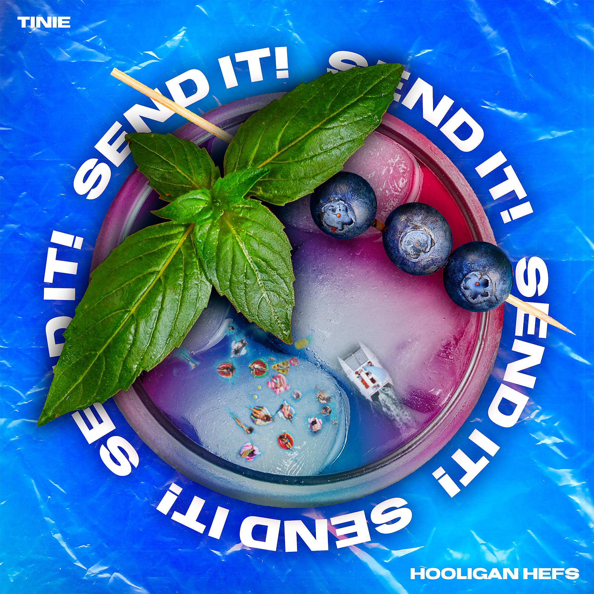 Постер альбома SEND IT! (feat. Tinie Tempah) [Remix]