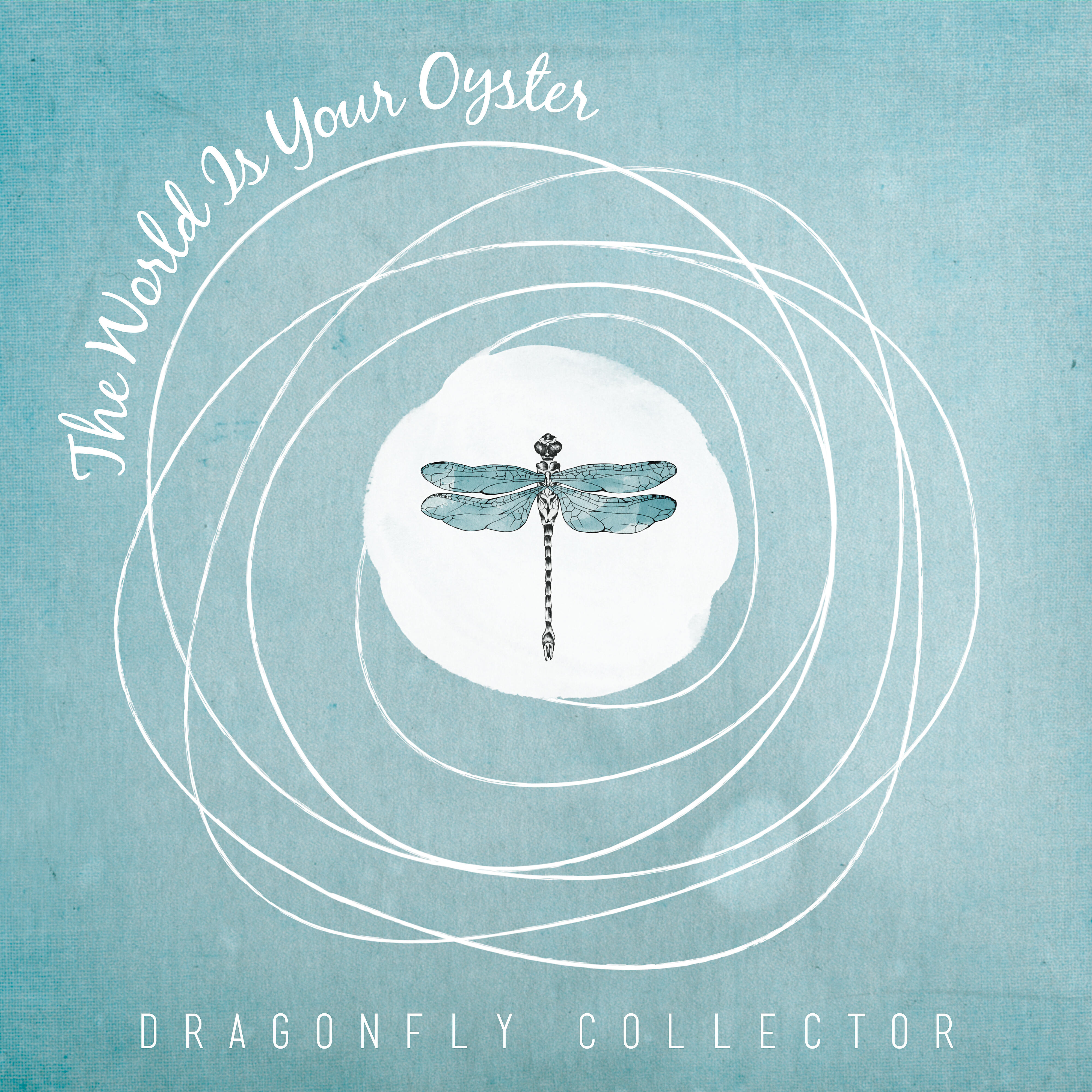 Dragonfly Collector - Timothy, My Own Timothy