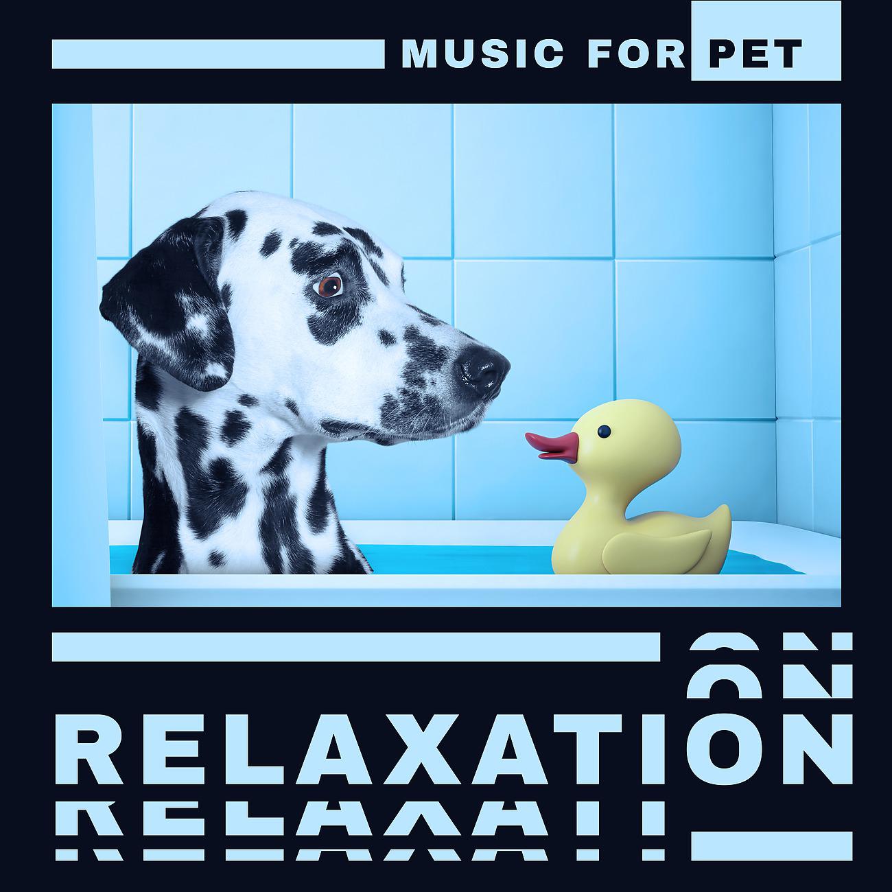 Постер альбома Music for Pet Relaxation