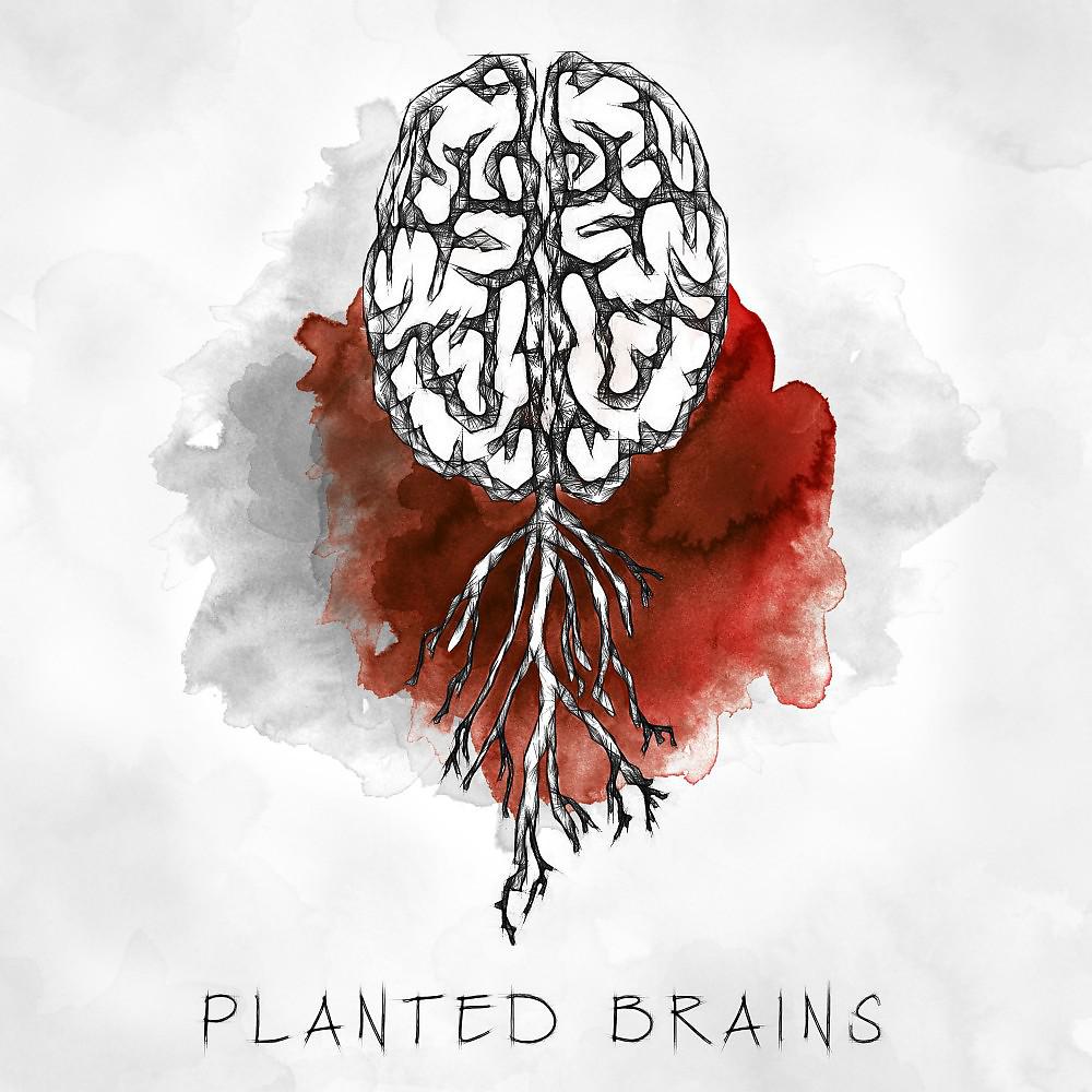 Постер альбома Planted Brains