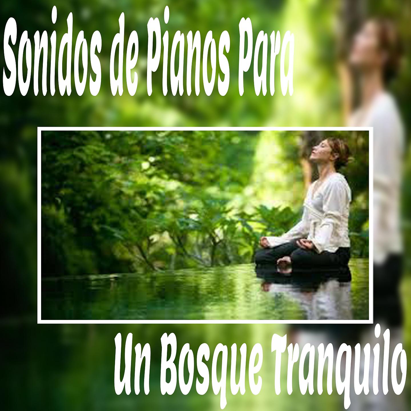 Постер альбома Sonidos de Pianos para un Bosque Tranquilo