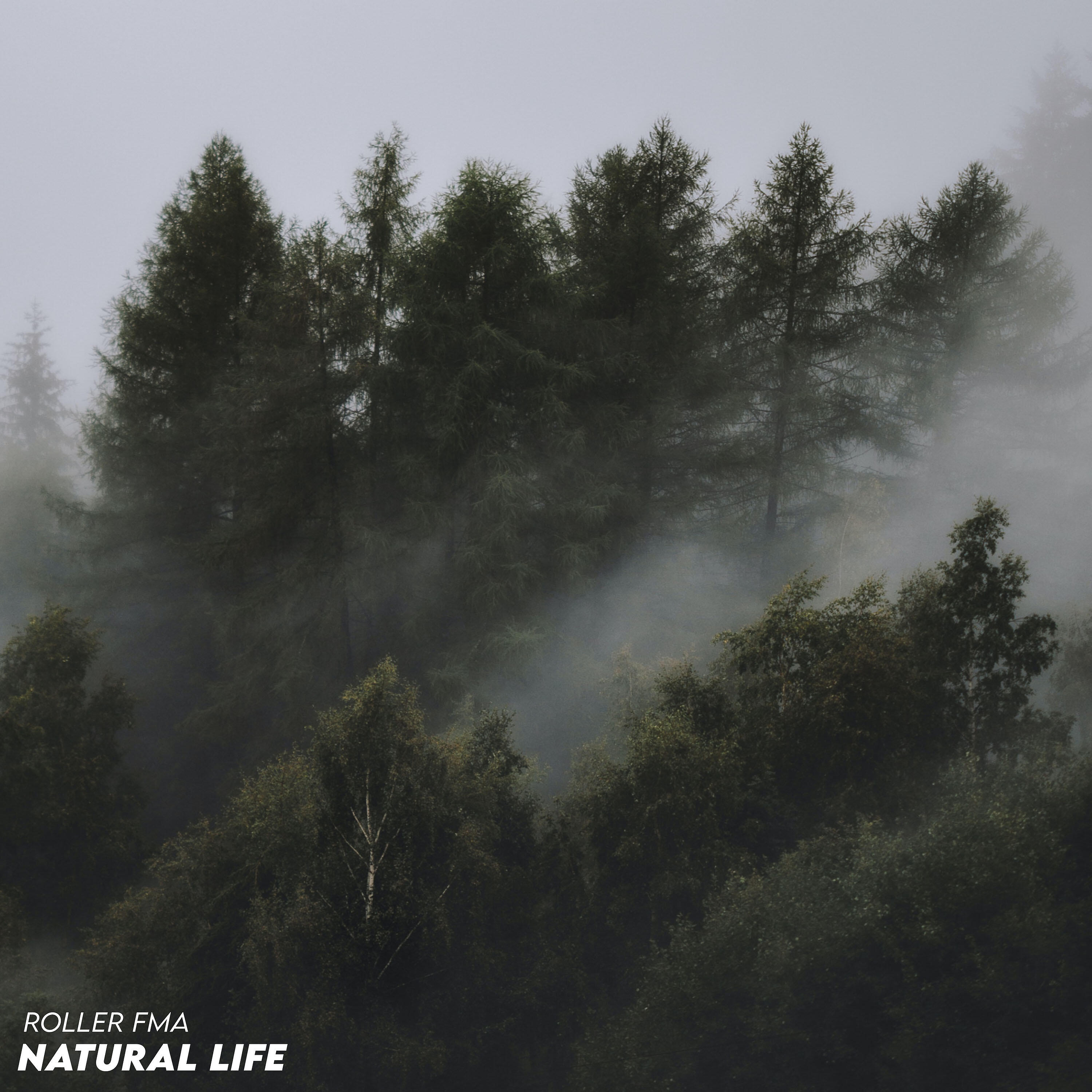 Roller FMA - Natural Life