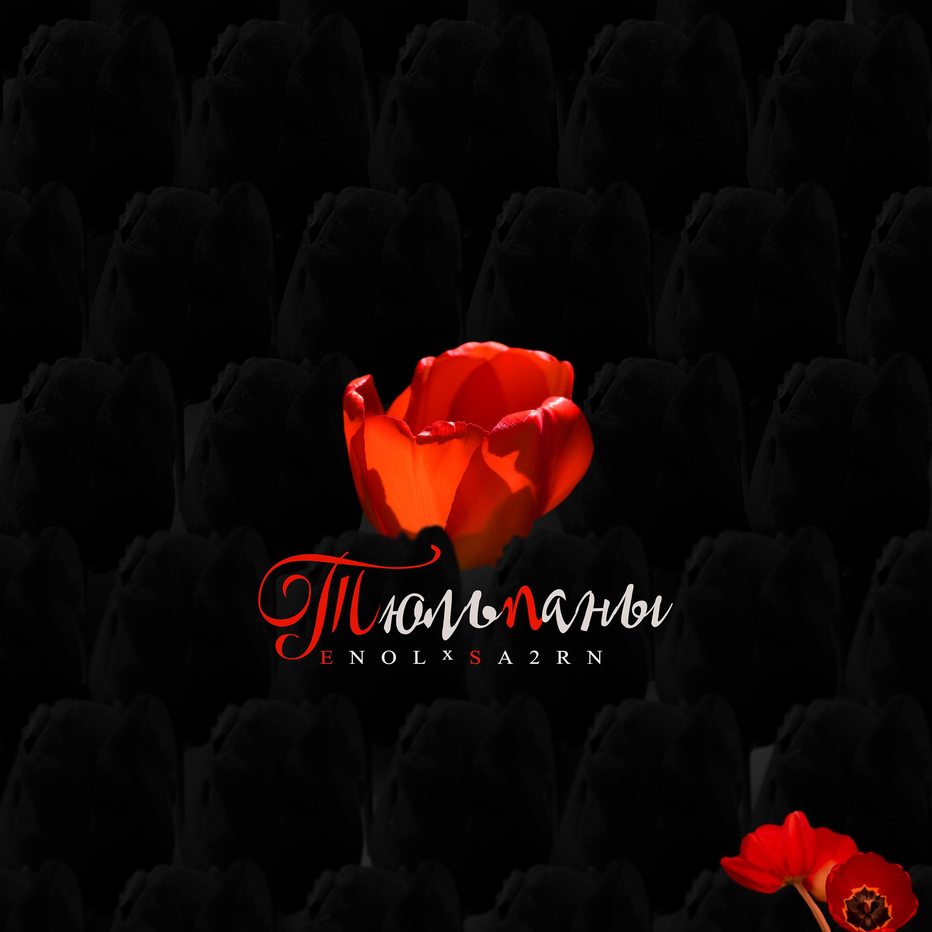 Постер альбома Тюльпаны