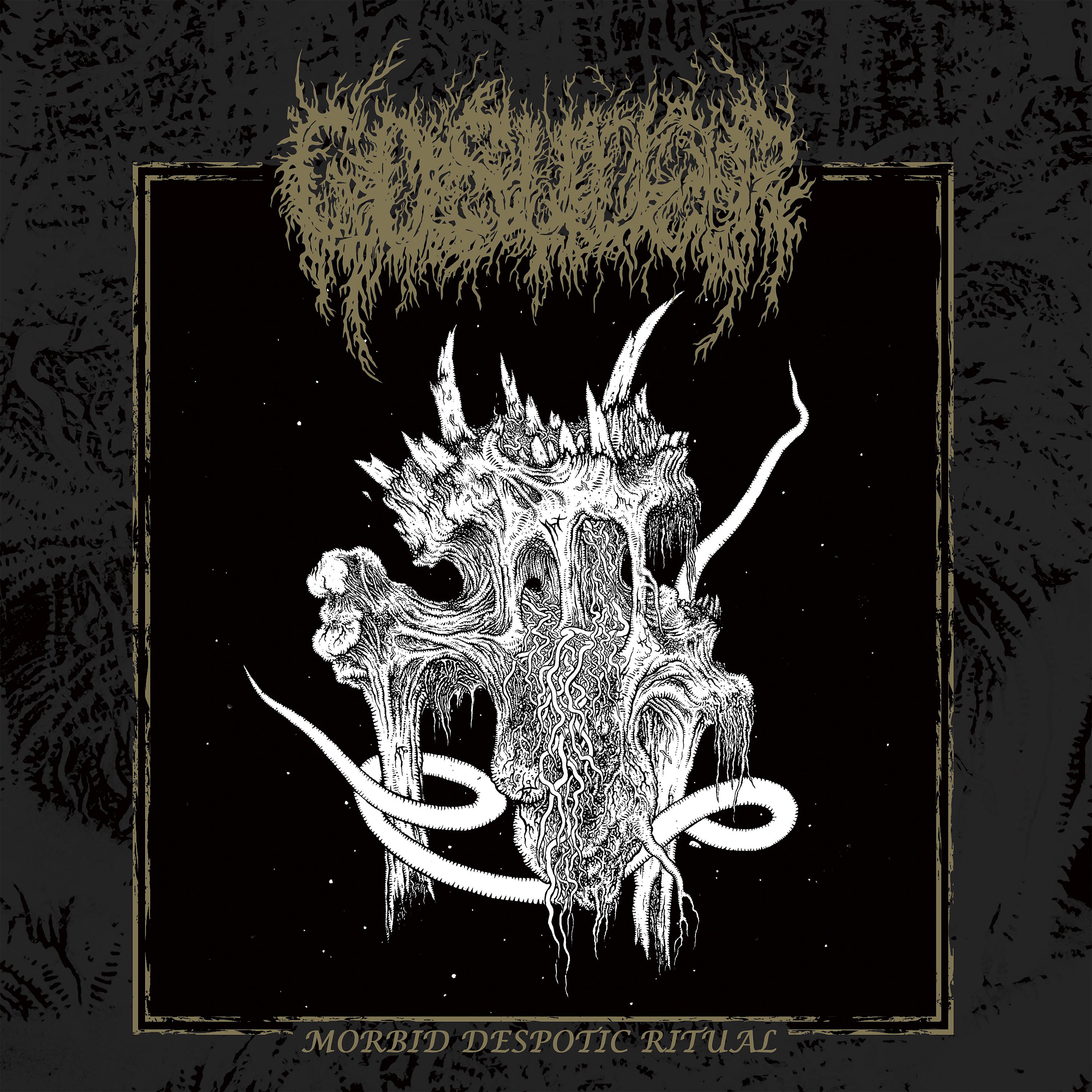Постер альбома Morbid Despotic Ritual