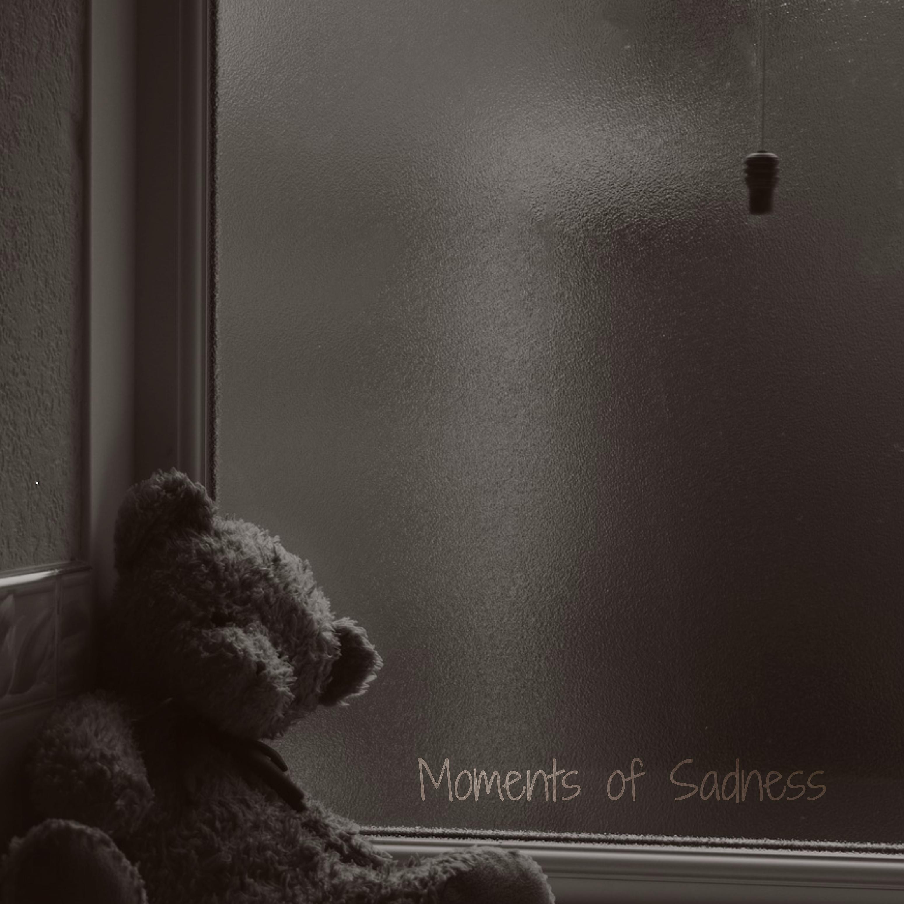 Постер альбома Moments of Sadness