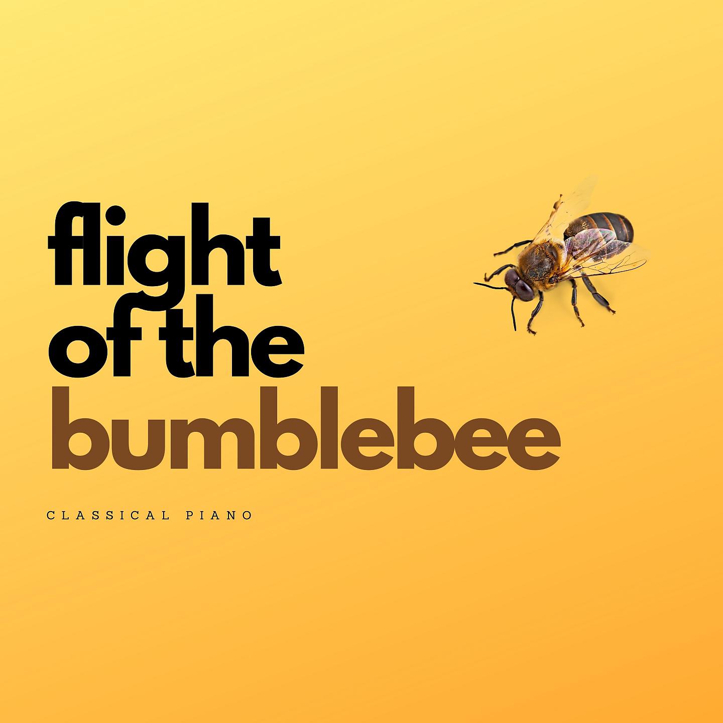Постер альбома Flight of the Bumblebee