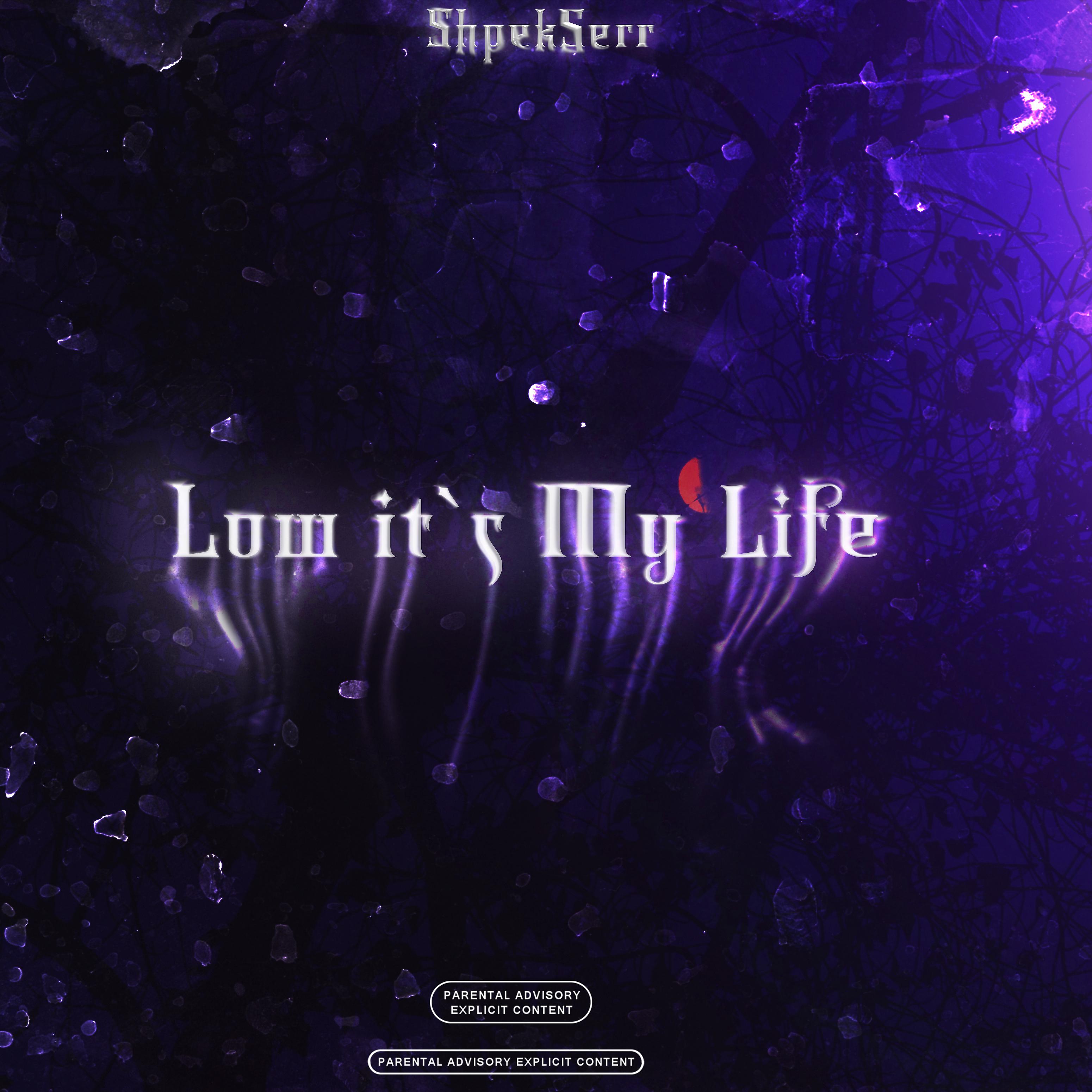 Постер альбома Low it`s My Life