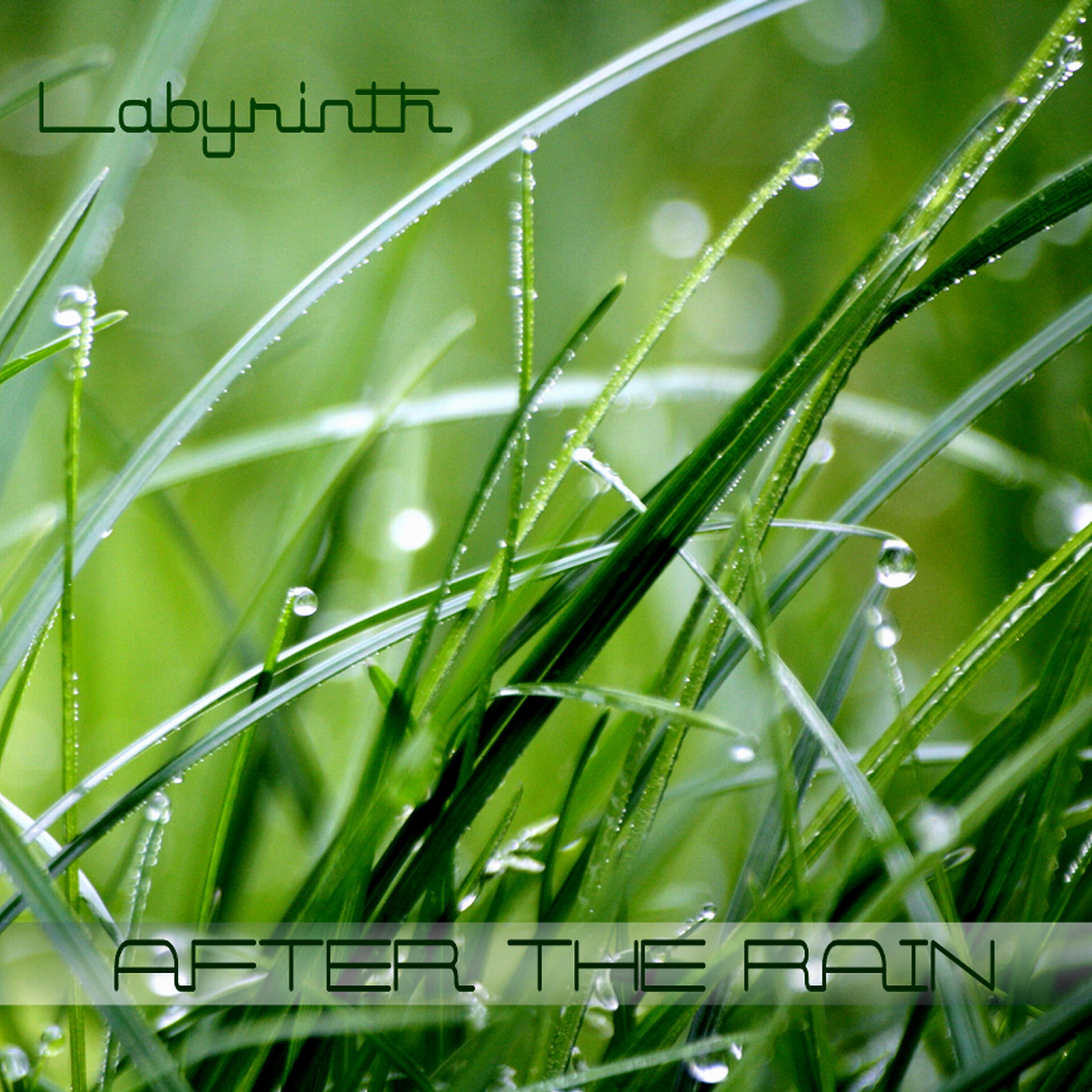 LABYRINTH - After the Rain