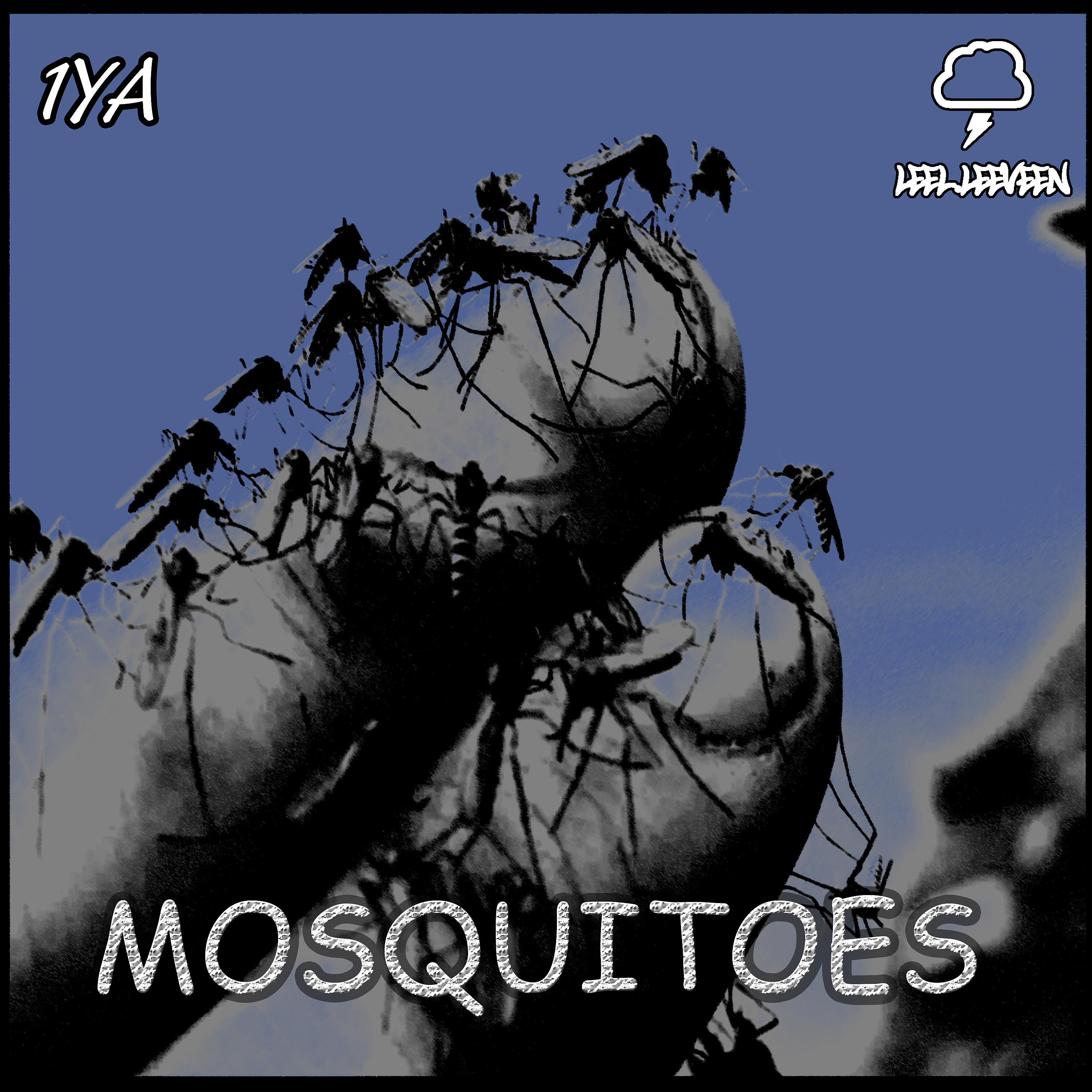Постер альбома Mosquitoes