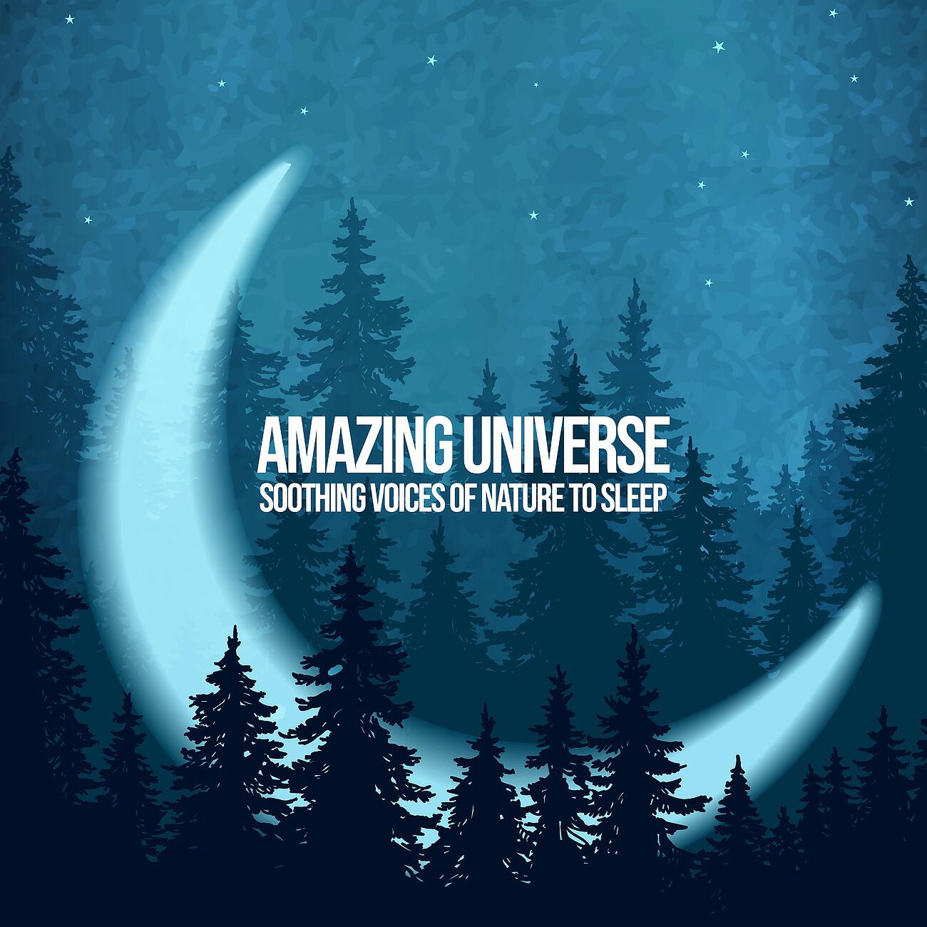 Sleep New Age Master - Peaceful Environment for Sleep