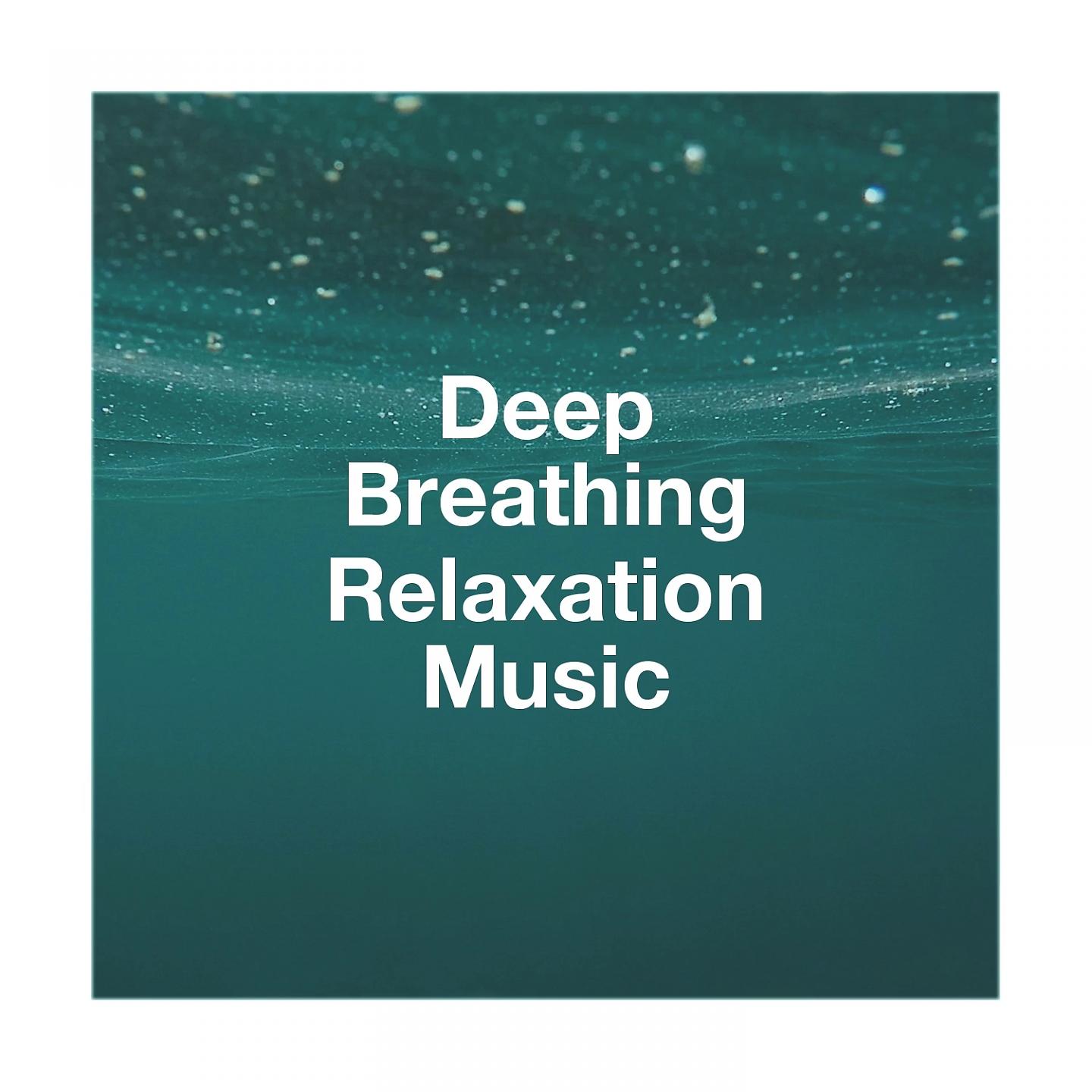 Постер альбома Deep Breathing Relaxation Music