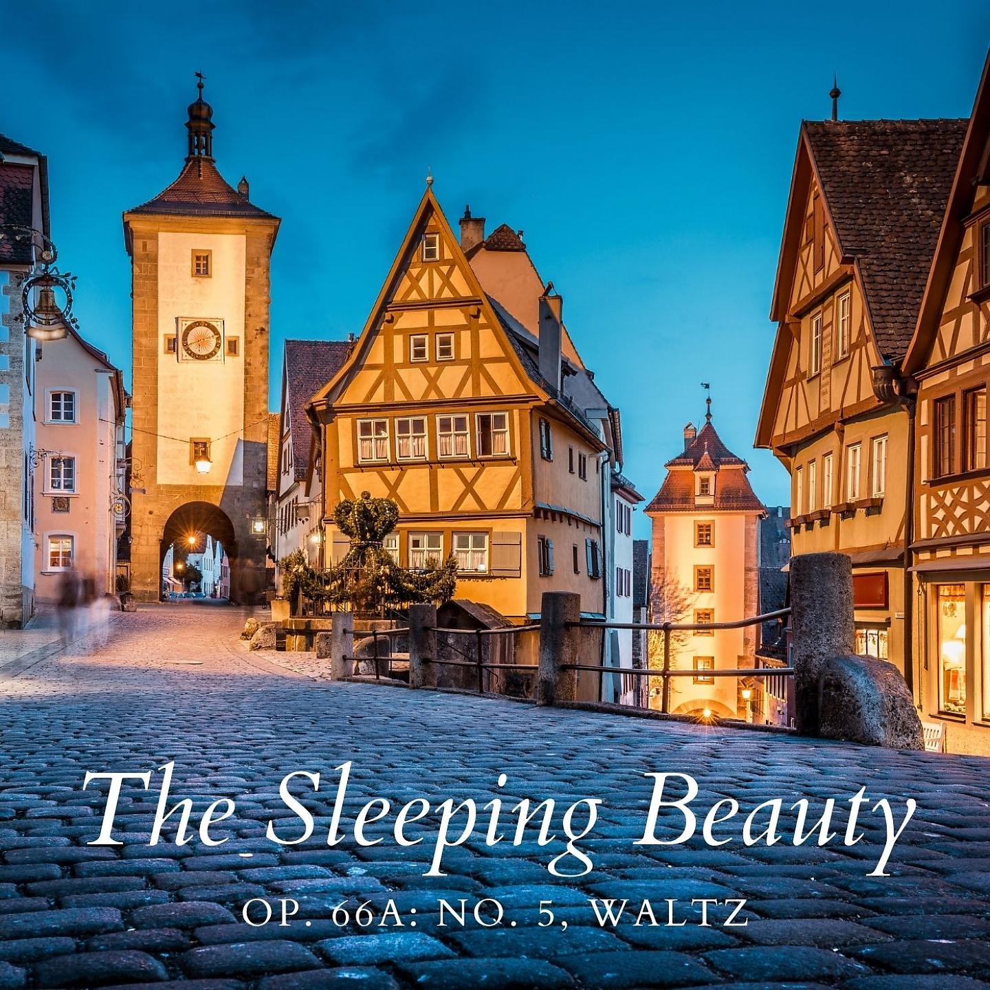 Постер альбома The Sleeping Beauty, Op. 66a: No. 5, Waltz