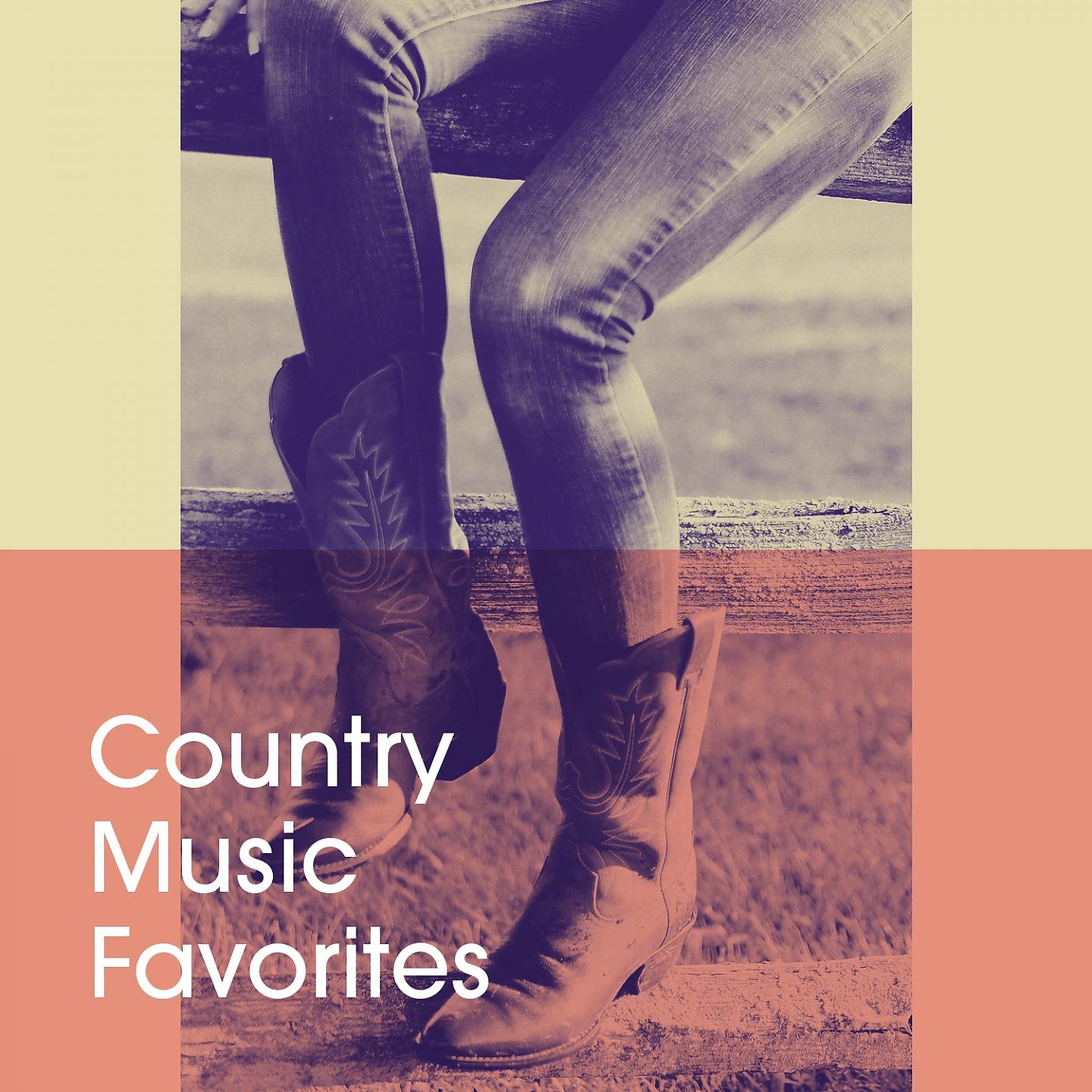 Постер альбома Country Music Favorites