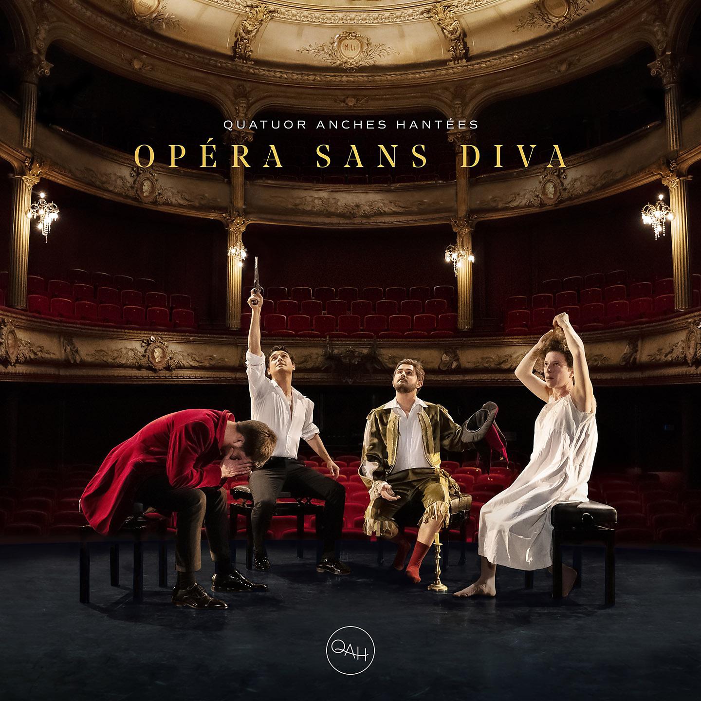 Постер альбома Opéra sans Diva